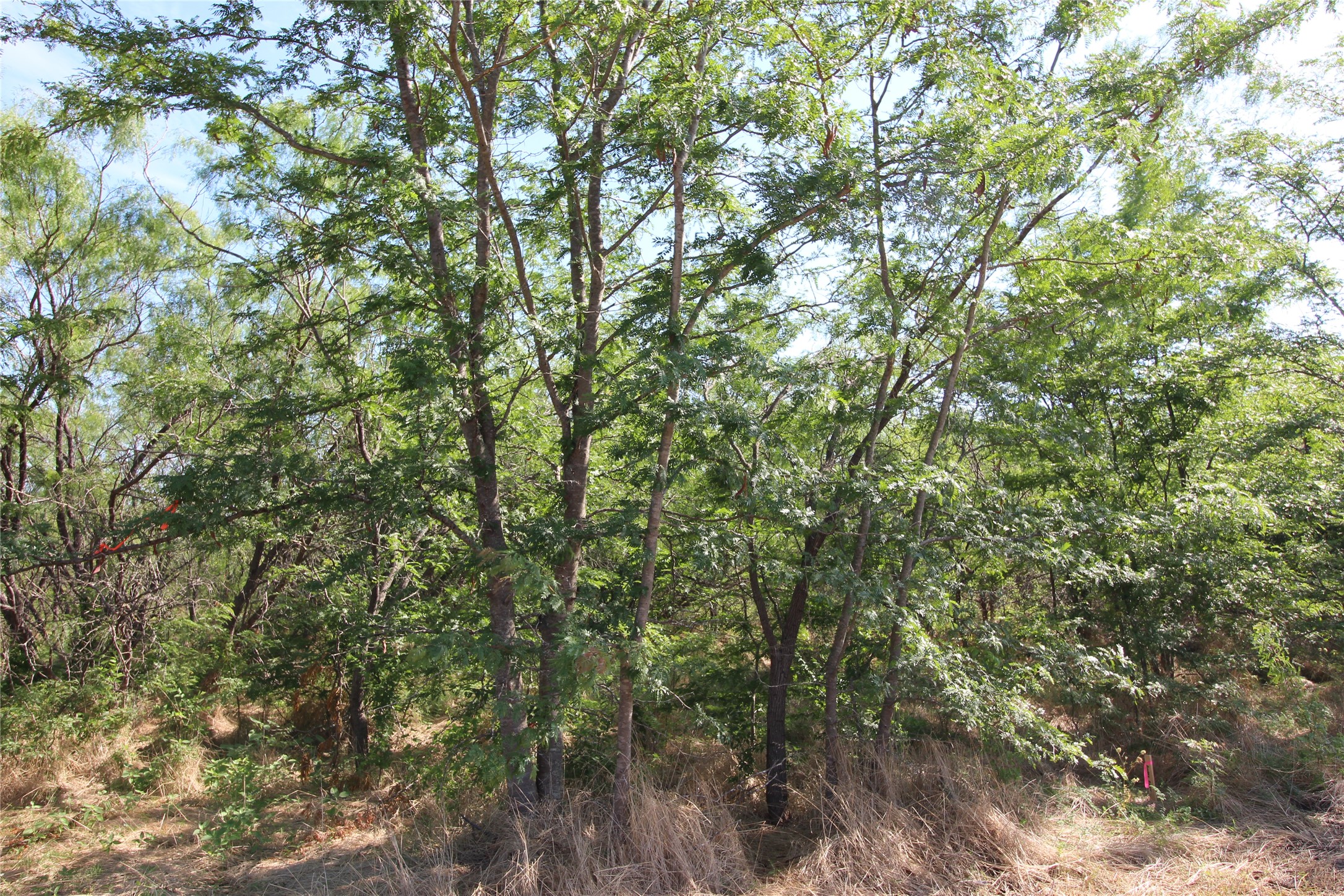 Tbd Lot 6 Fm 2860 Kaufman TX 75142
