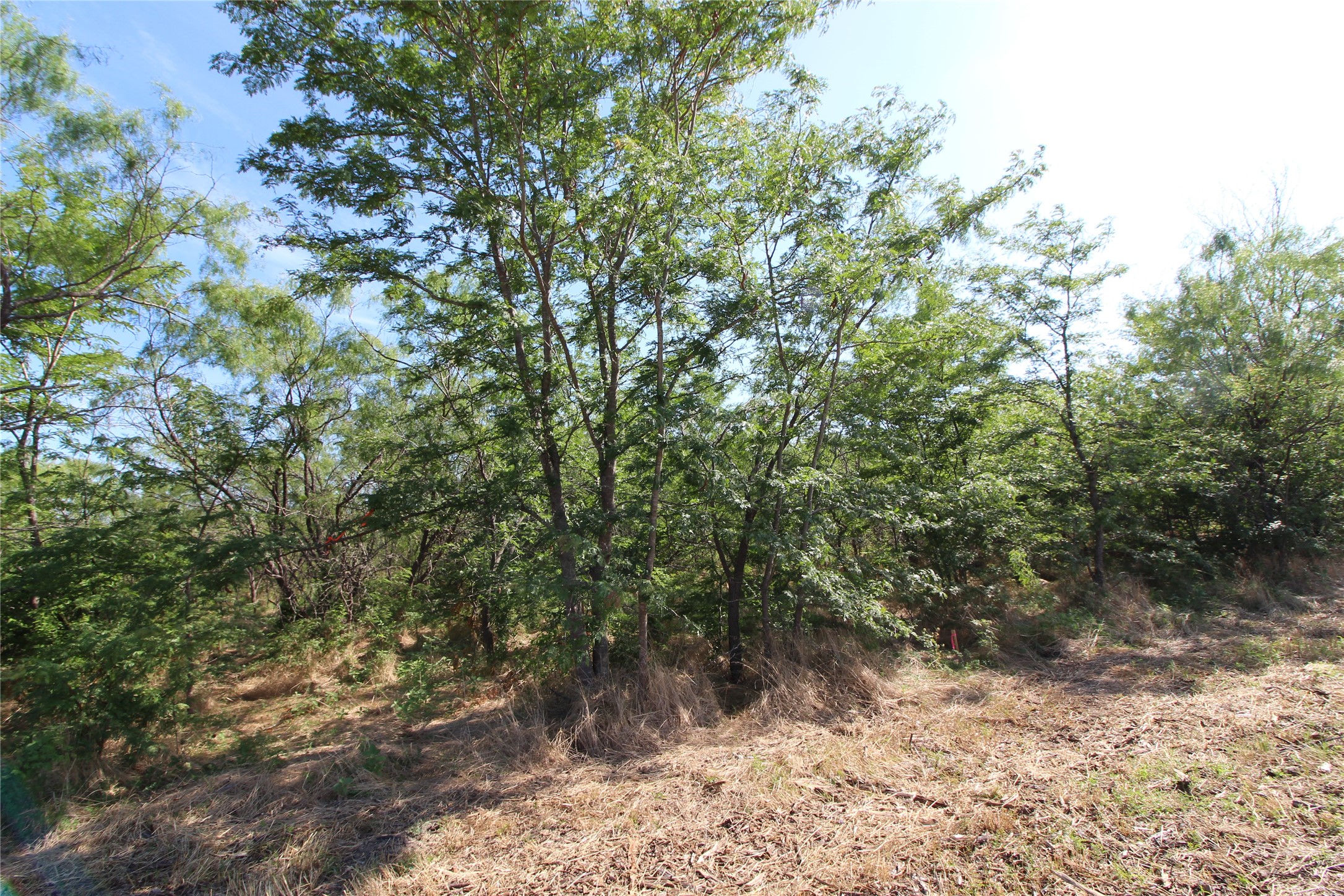 Tbd Lot 6 Fm 2860 Kaufman TX 75142