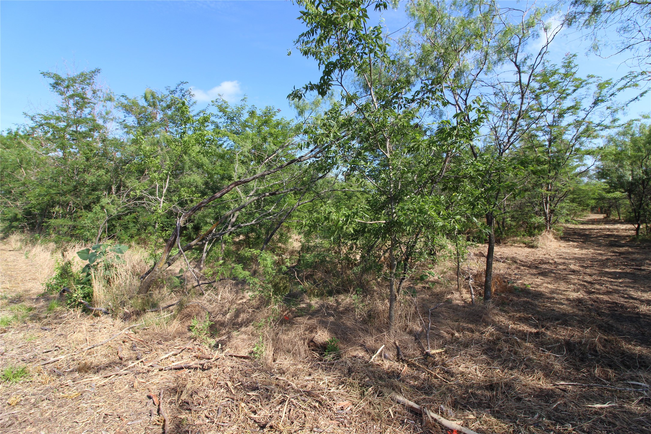 Tbd Lot 6 Fm 2860 Kaufman TX 75142