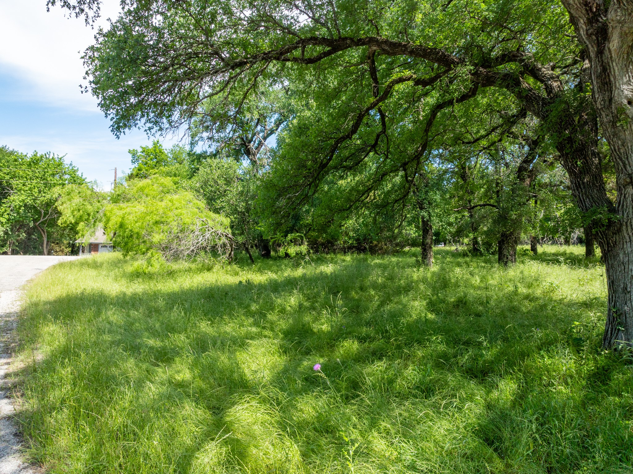 21086 Trailwood Drive Whitney TX 76692