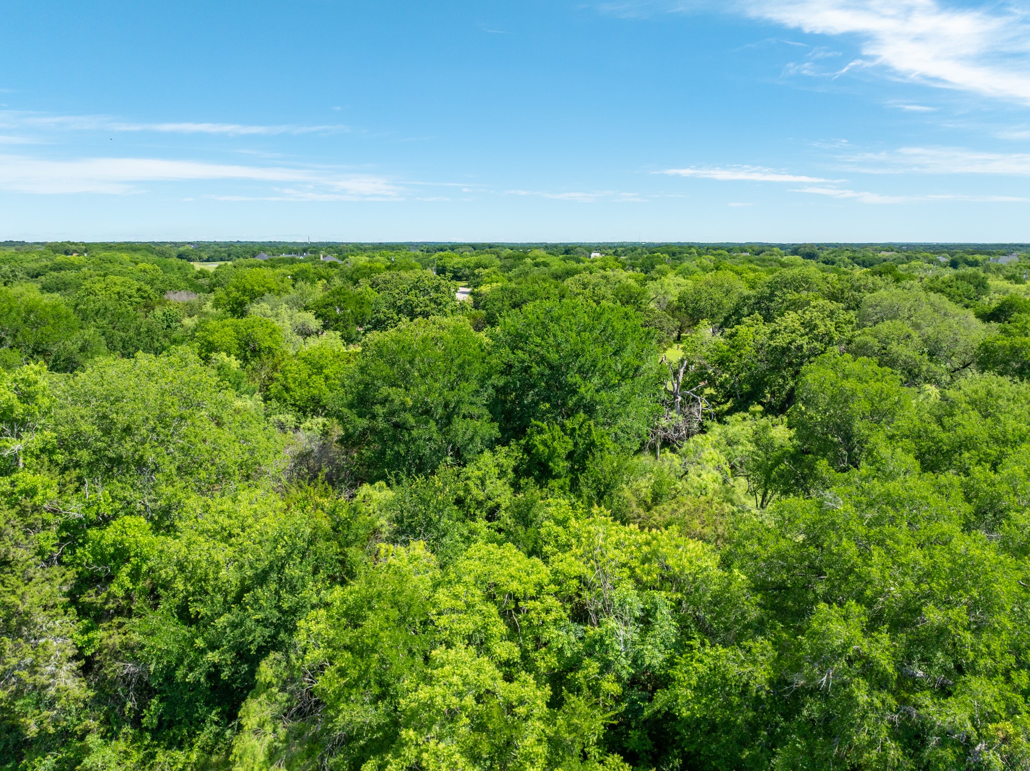 21086 Trailwood Drive Whitney TX 76692