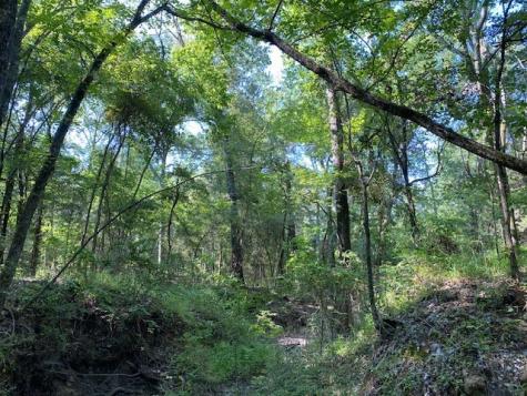 Trail 4-a Cr 41514 Athens TX 75751