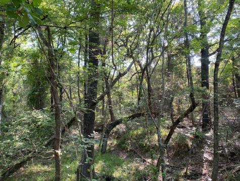 Trail 4-a Cr 41514 Athens TX 75751