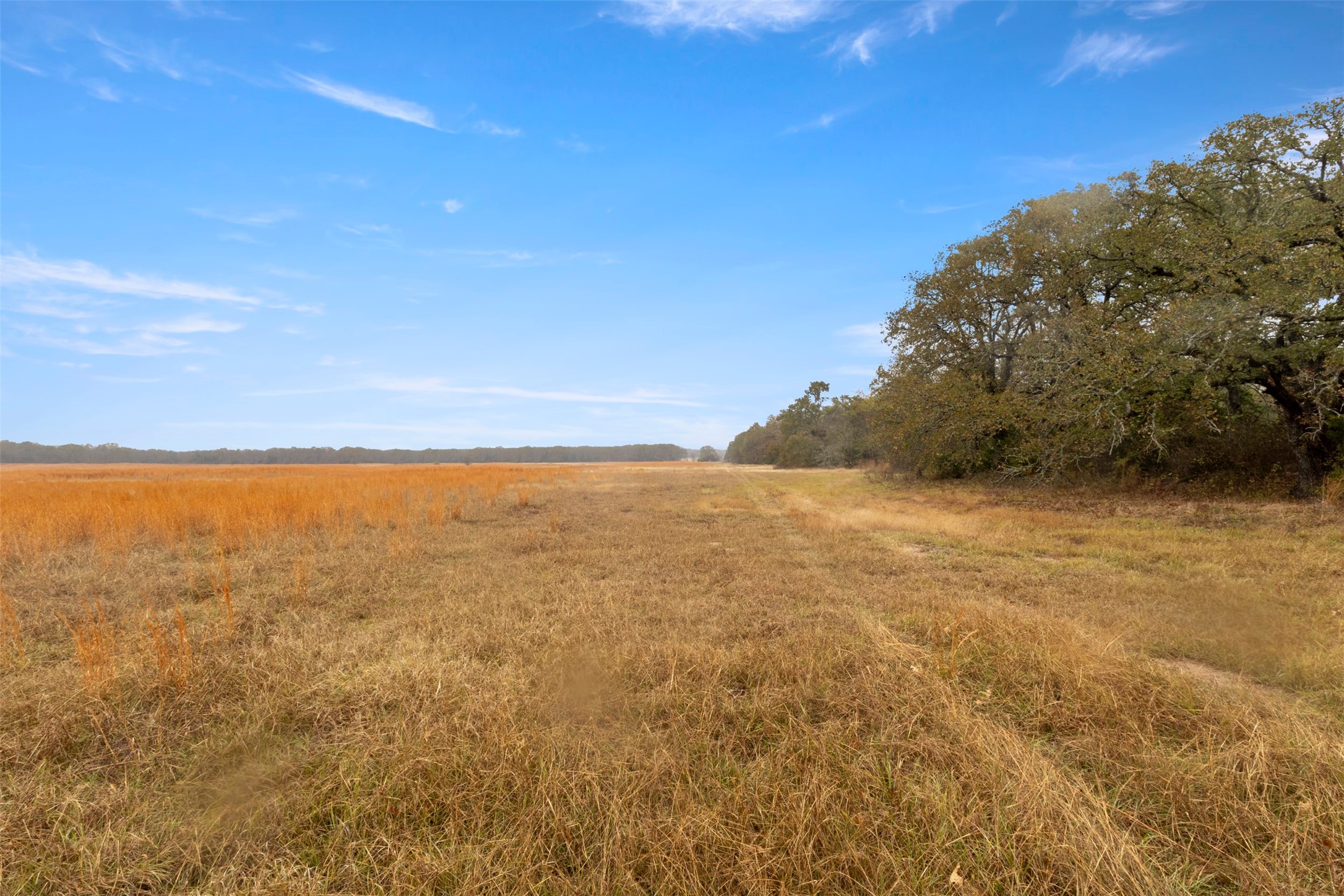 Tbd County Road 2526 Quinlan TX 75474
