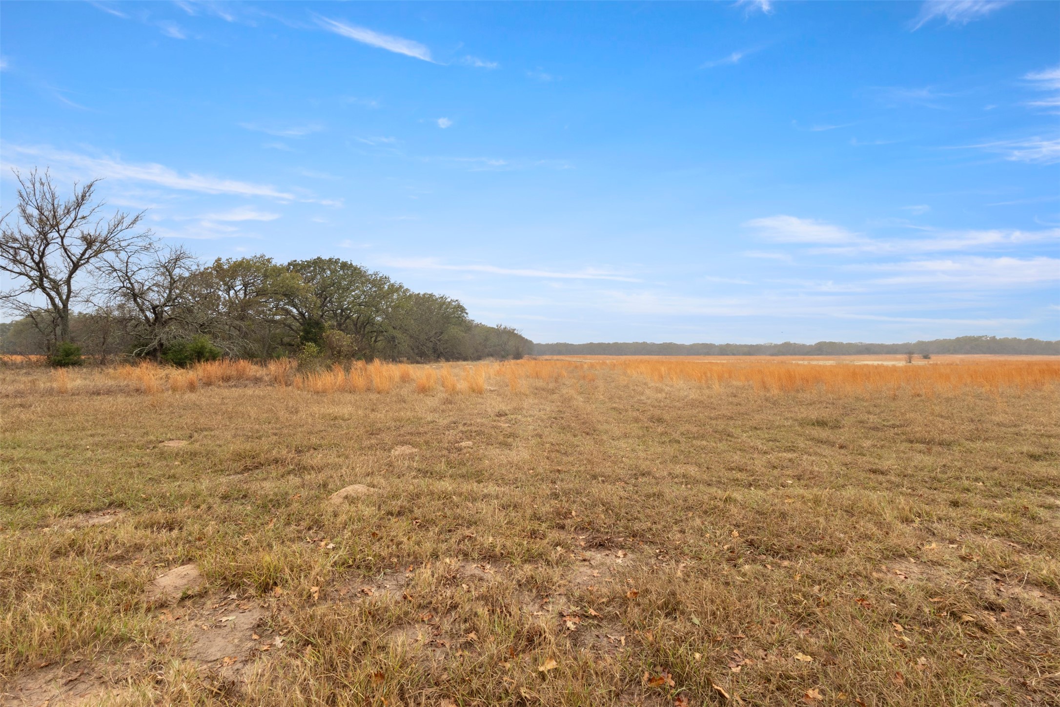 Tbd County Road 2526 Quinlan TX 75474