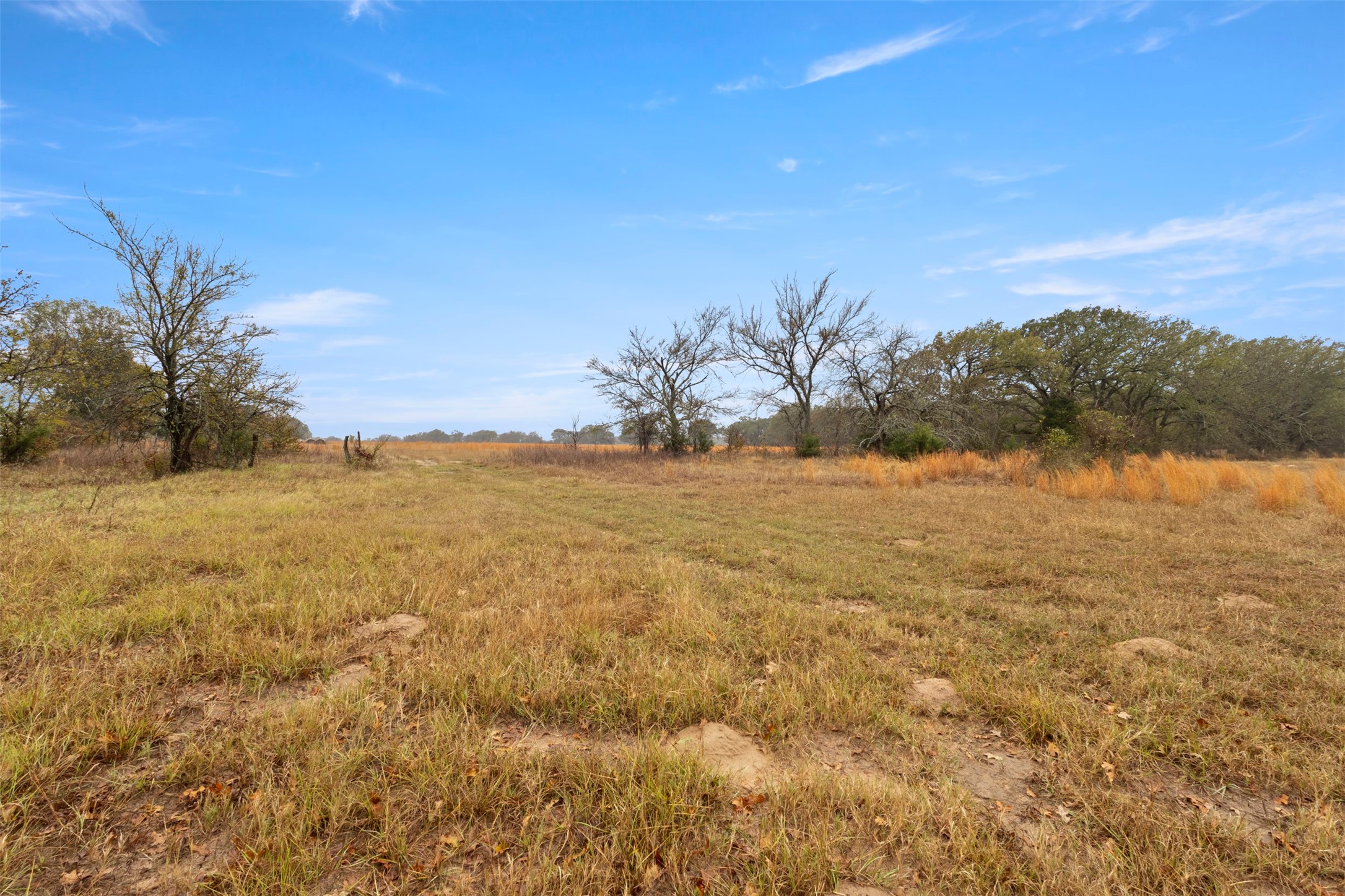 Tbd County Road 2526 Quinlan TX 75474
