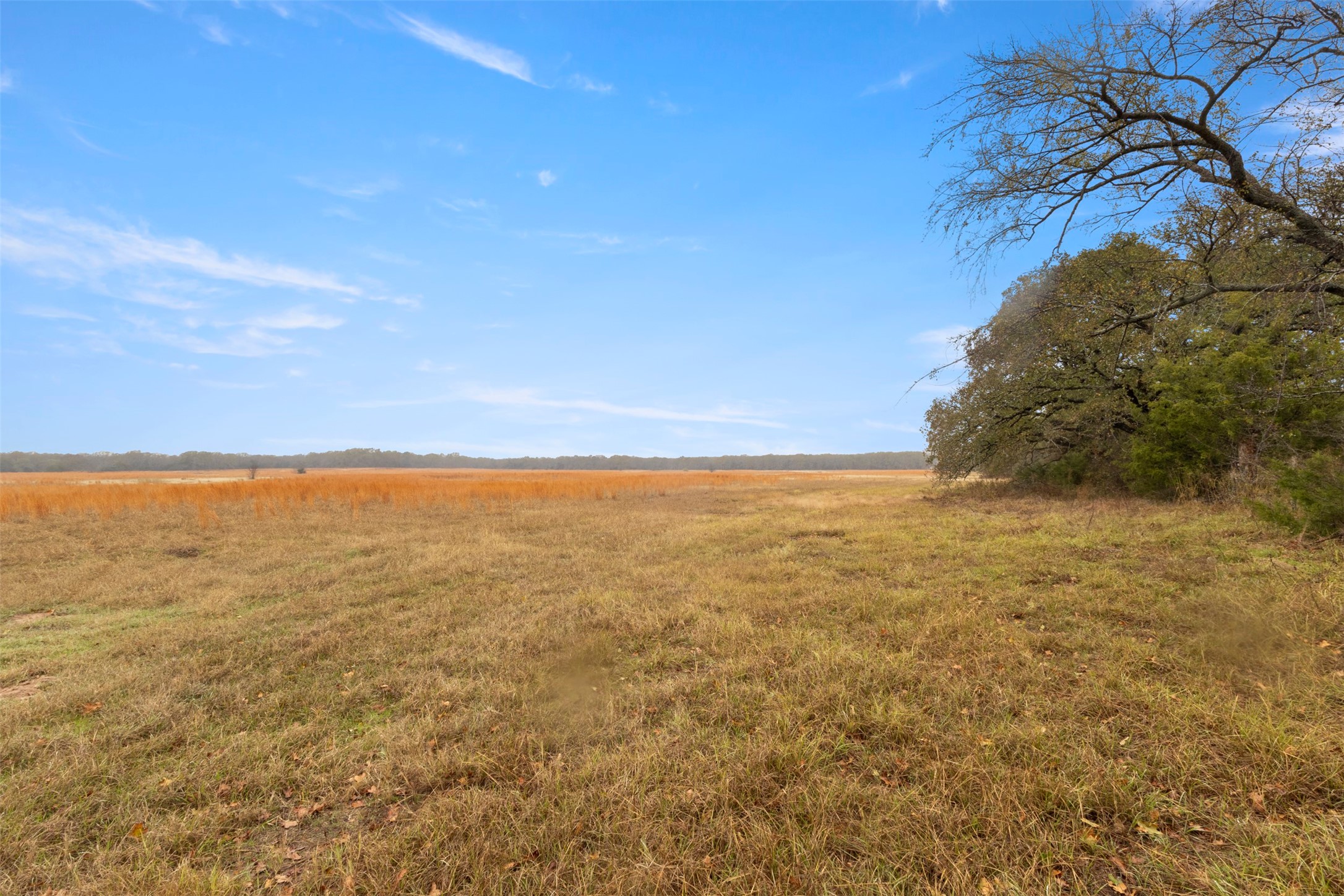 Tbd County Road 2526 Quinlan TX 75474