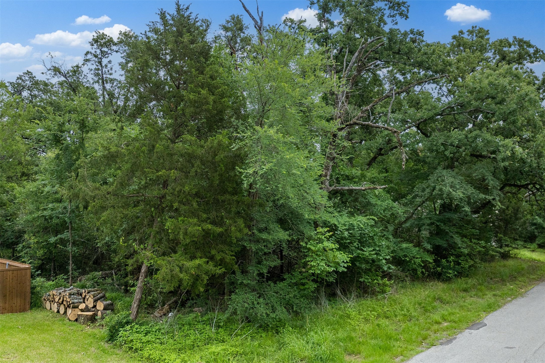 0 Oakwood Drive Trinidad TX 75163