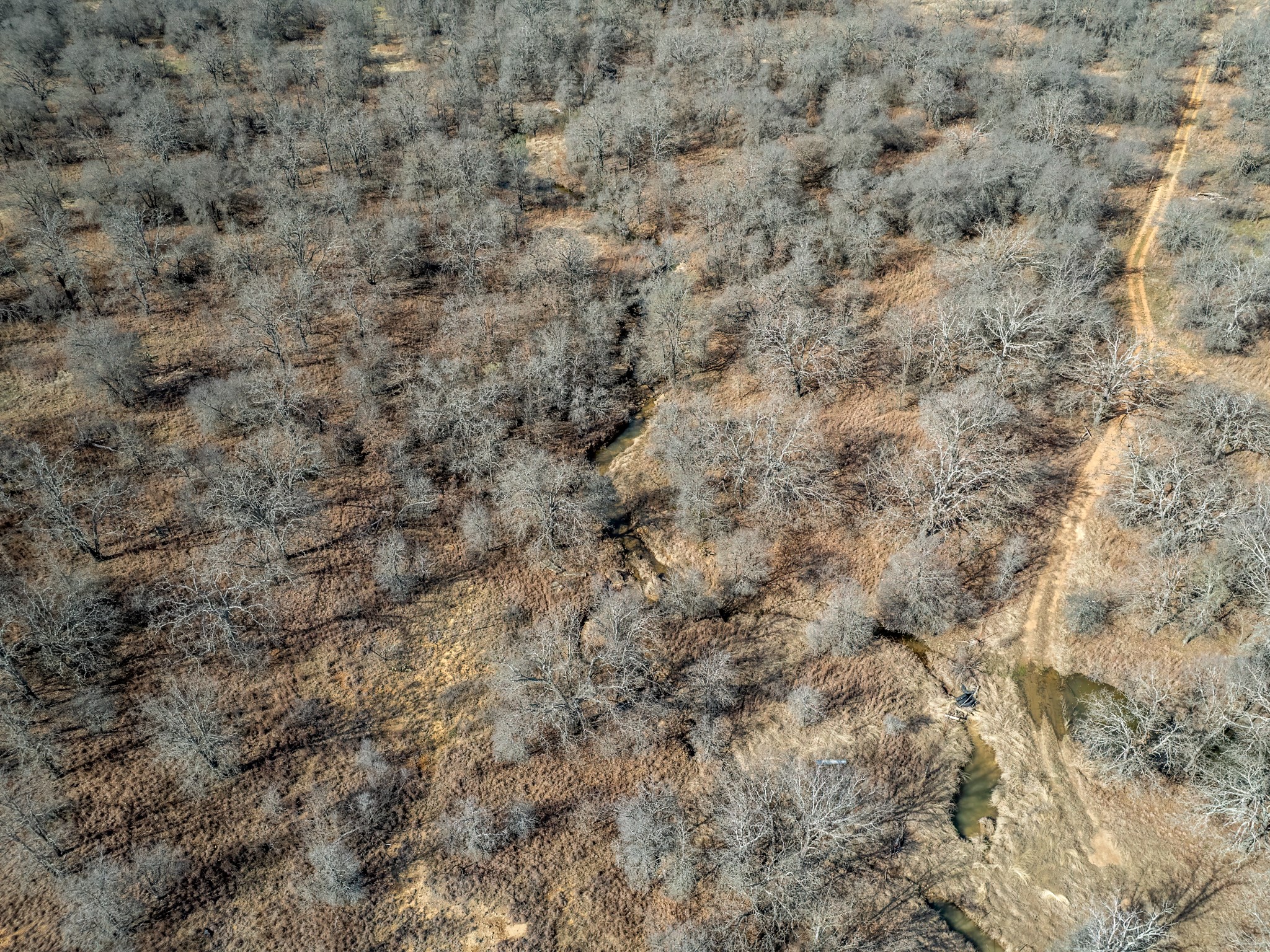 5970 County Road 411 W Brownwood TX 76801