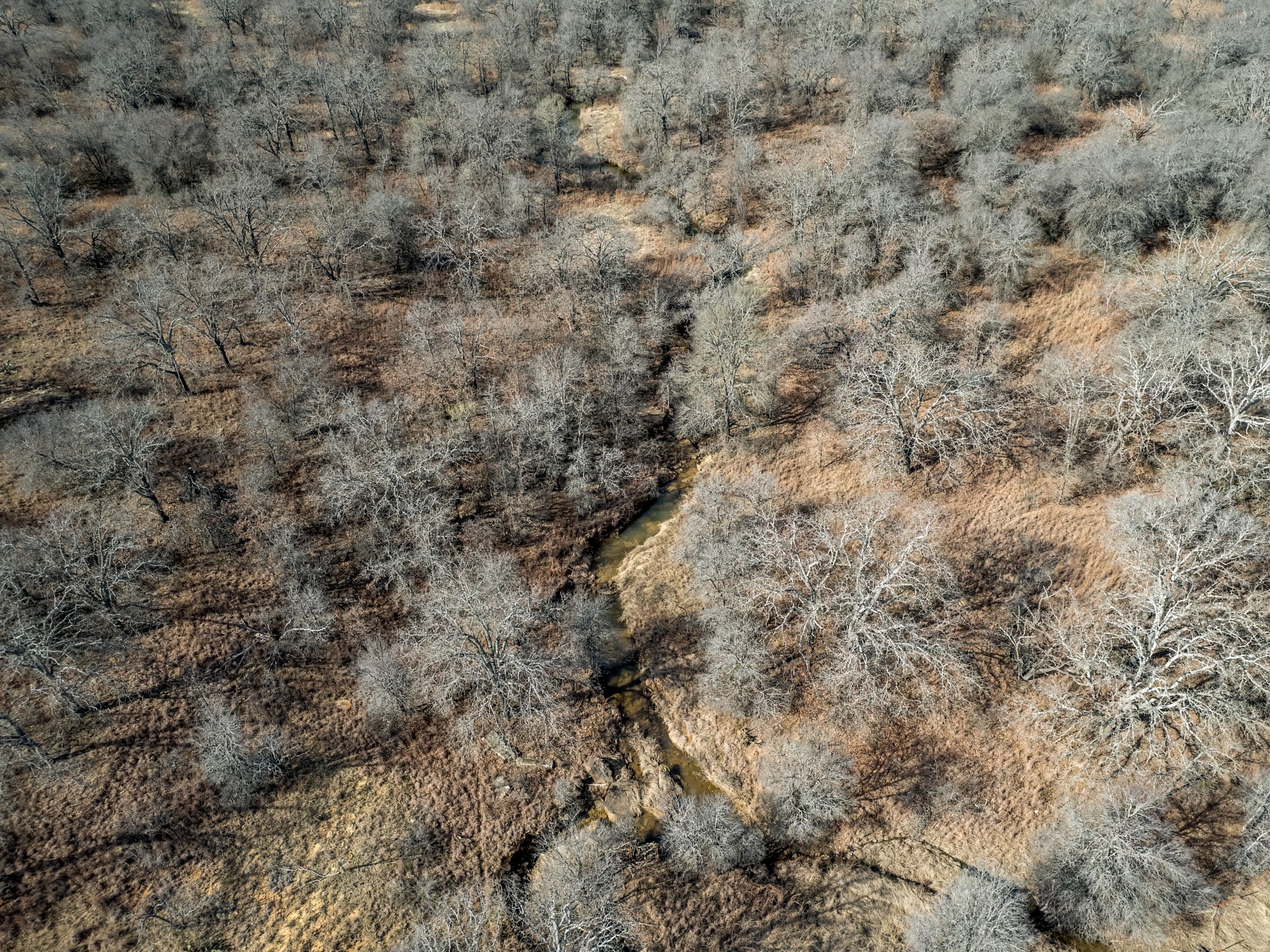 5970 County Road 411 W Brownwood TX 76801