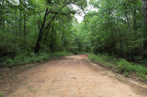 TBD County Road 4679 Tenaha TX 75974