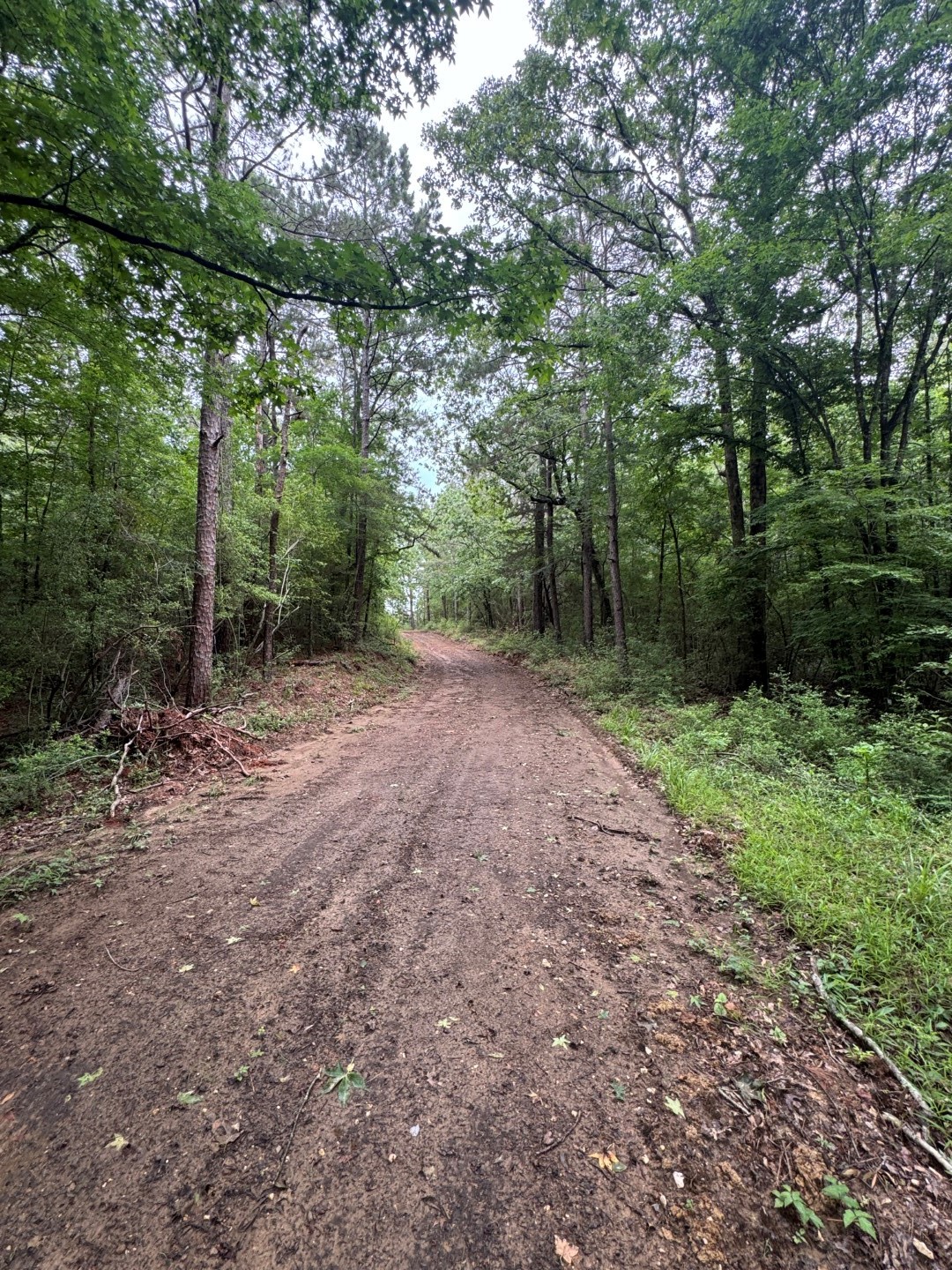 Tbd County Road 4679 Tenaha TX 75974