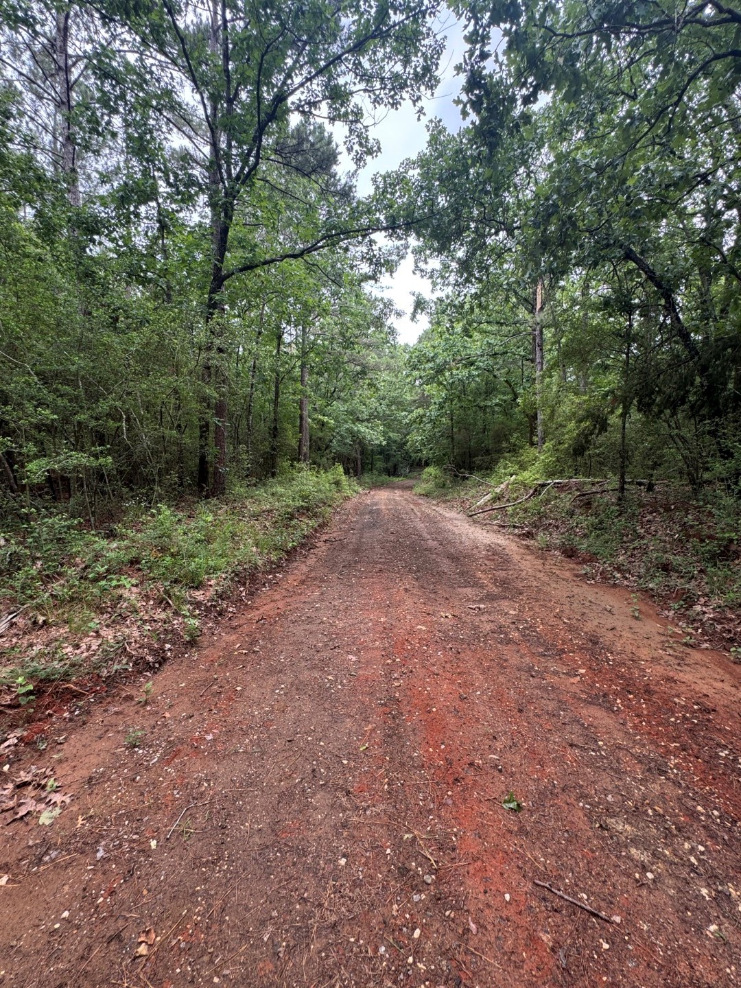 Tbd County Road 4679 Tenaha TX 75974