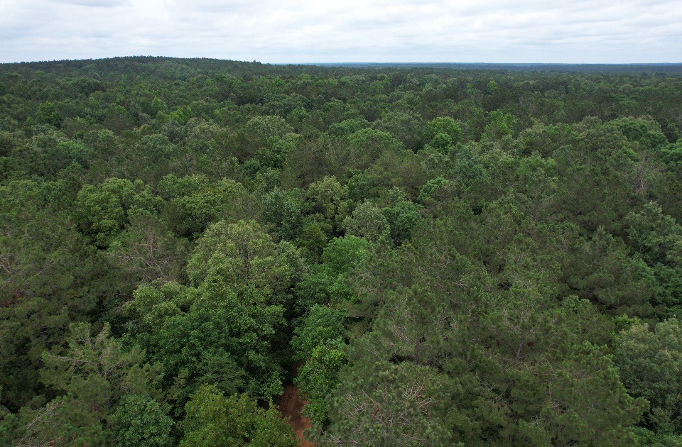 Tbd County Road 4679 Tenaha TX 75974