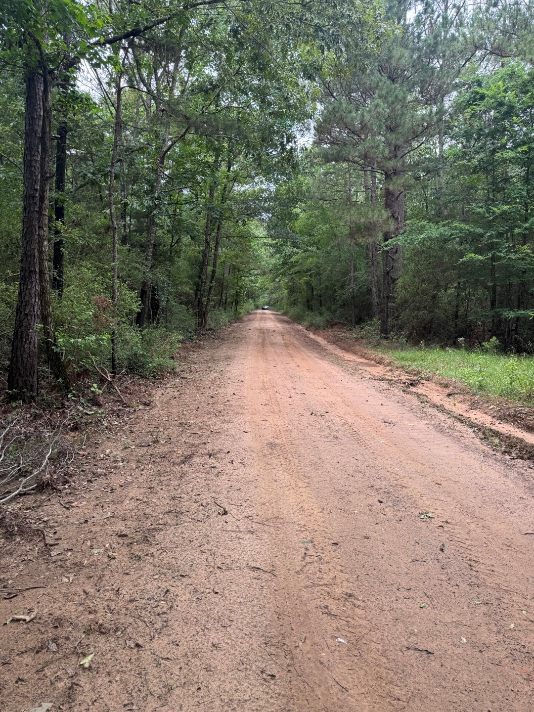 Tbd County Road 4679 Tenaha TX 75974