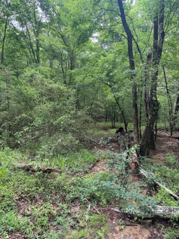 Tbd County Road 4679 Tenaha TX 75974