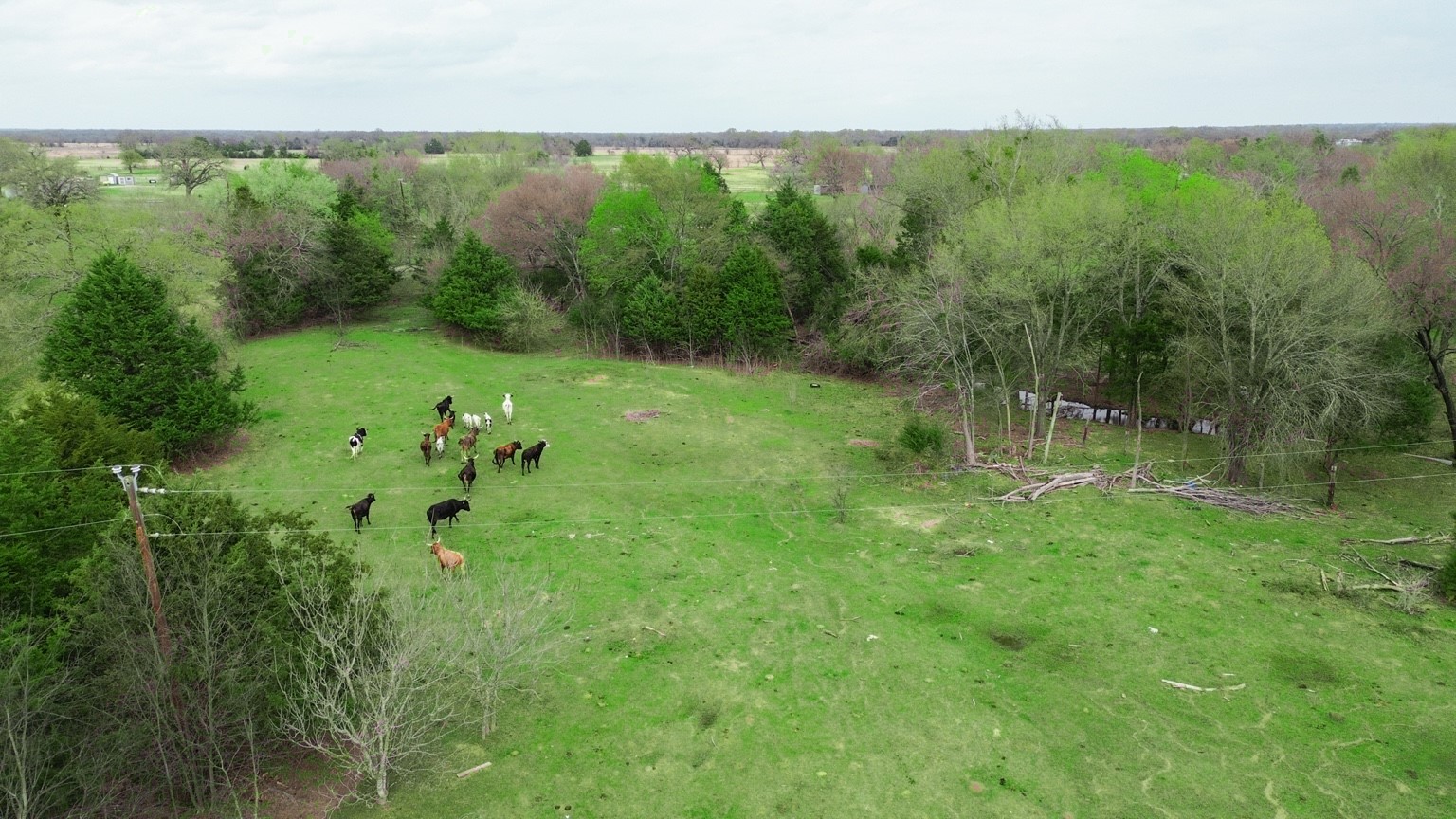 14699 Barfield Lane Kaufman TX 75142