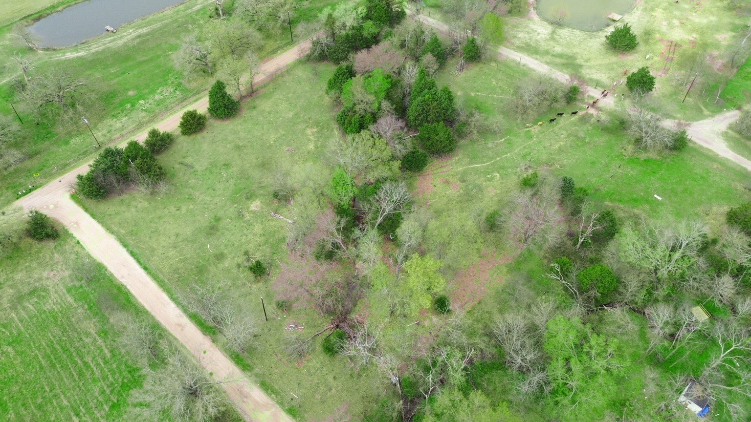 14699 Barfield Lane Kaufman TX 75142