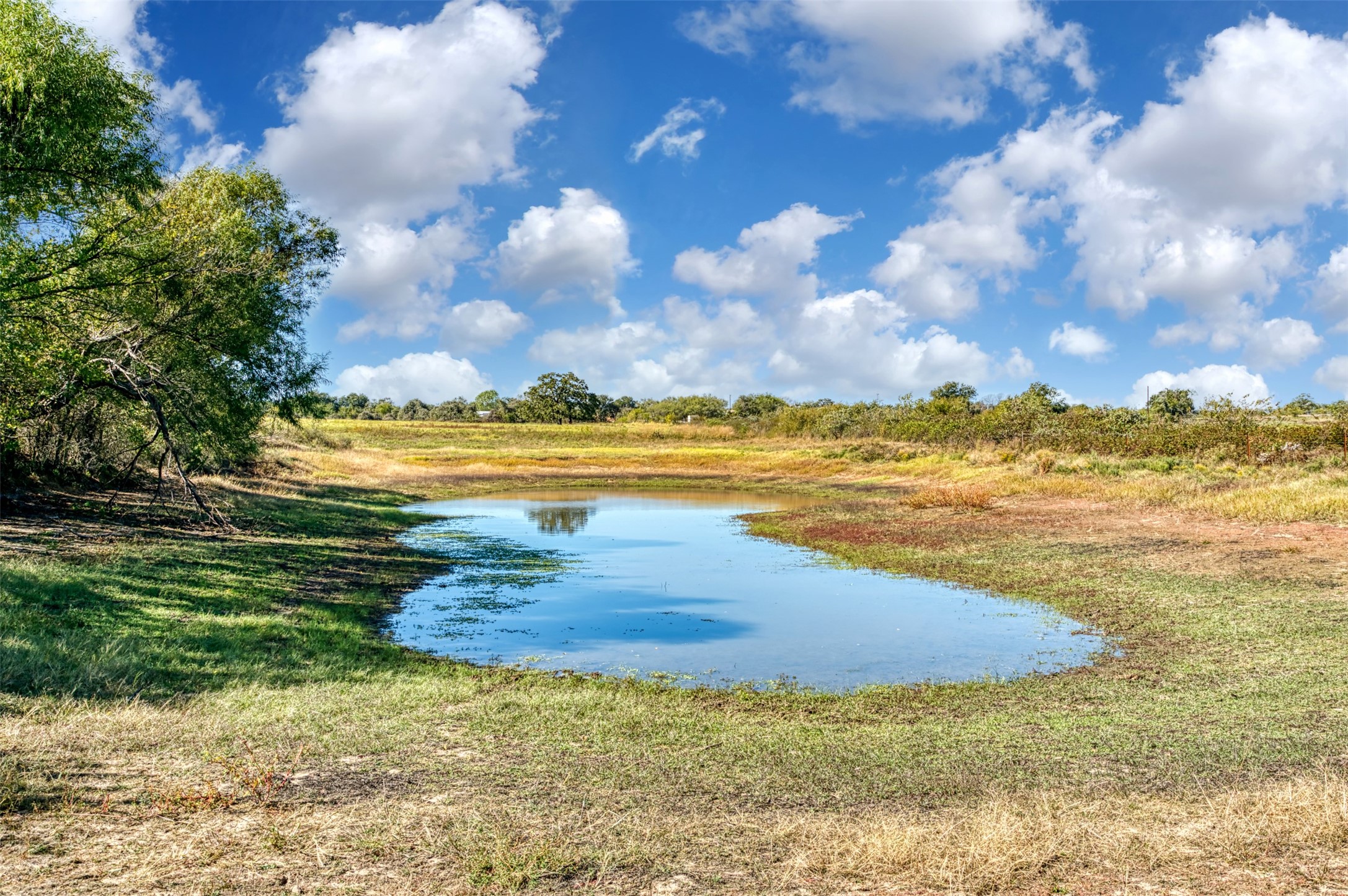 Tbd Wilson Road Perrin TX 76486