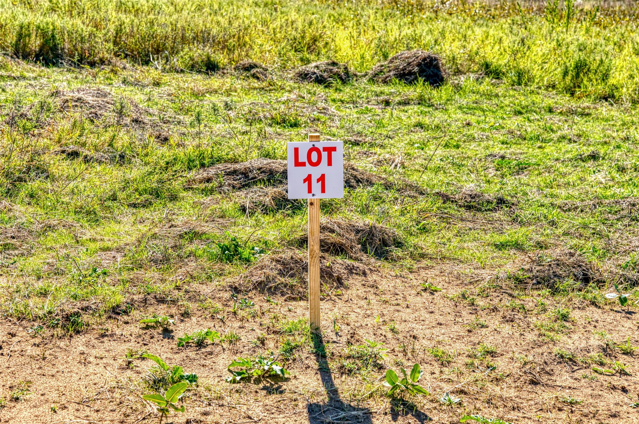 Tbd Wilson Road Perrin TX 76486