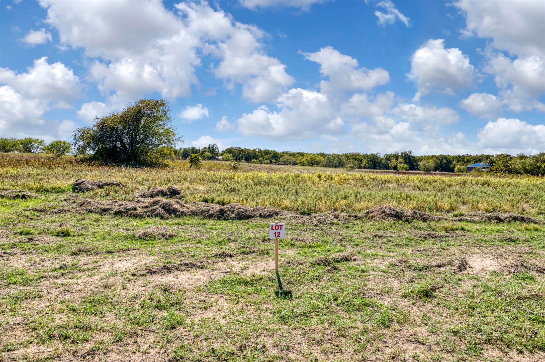 Tbd Wilson Road Perrin TX 76486