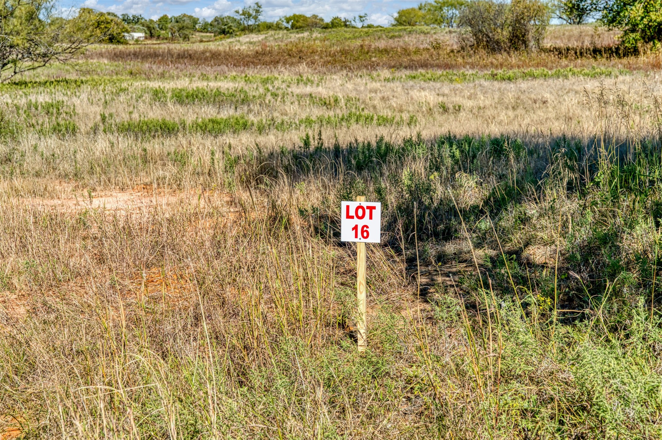 Tbd Wilson Road Perrin TX 76486