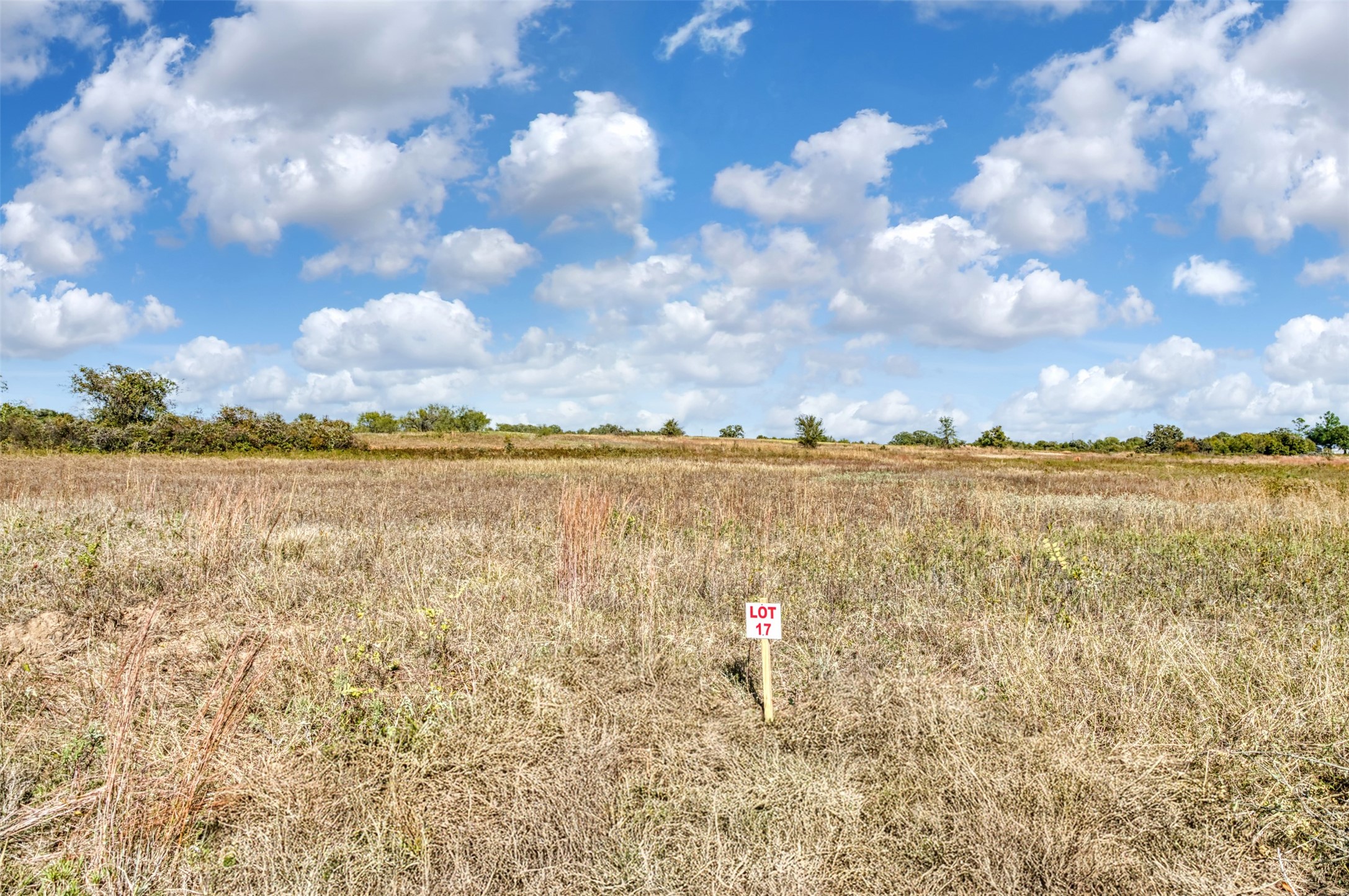 Tbd Wilson Road Perrin TX 76486