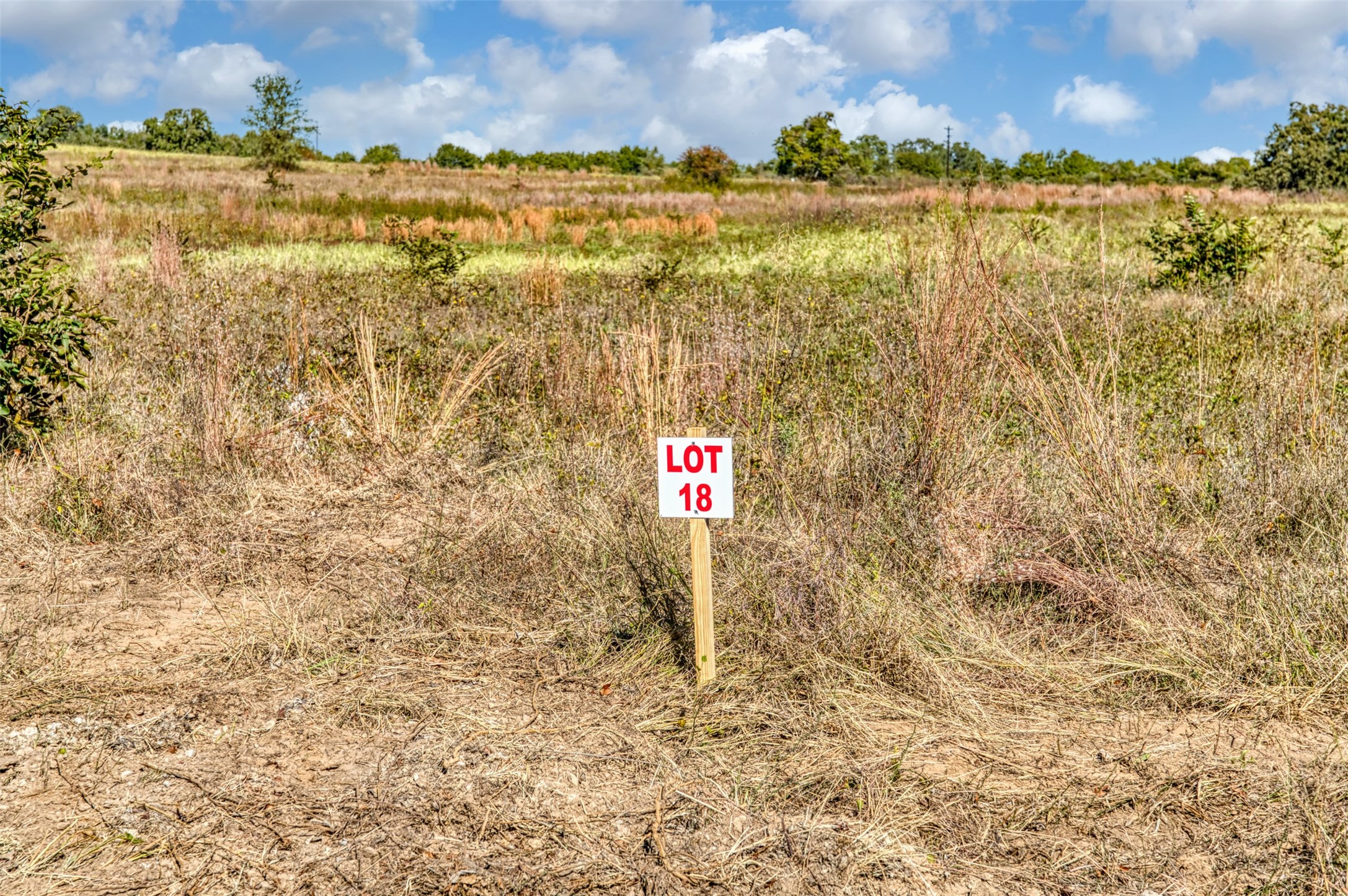 Tbd Wilson Road Perrin TX 76486
