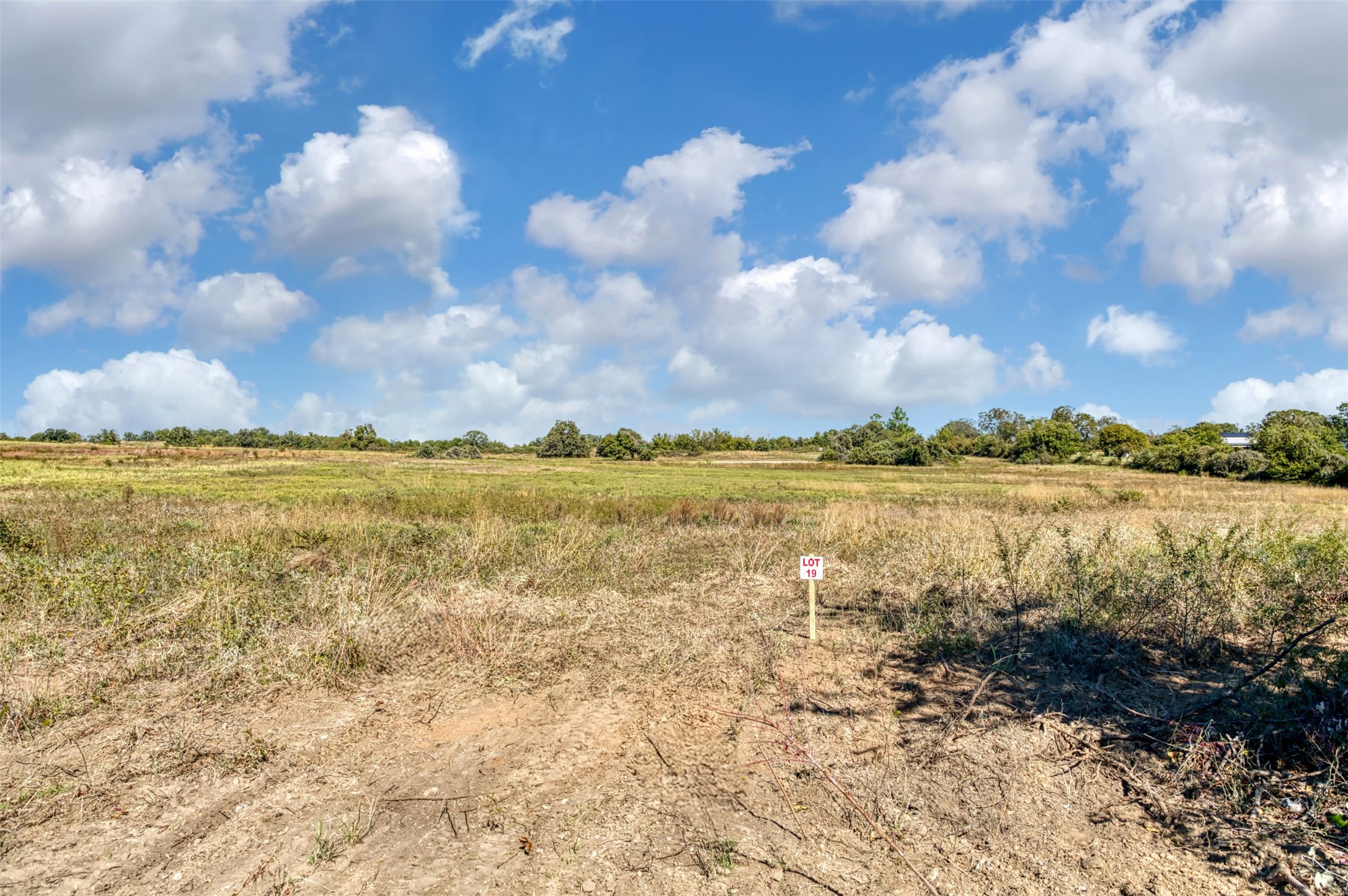 Tbd Wilson Road Perrin TX 76486