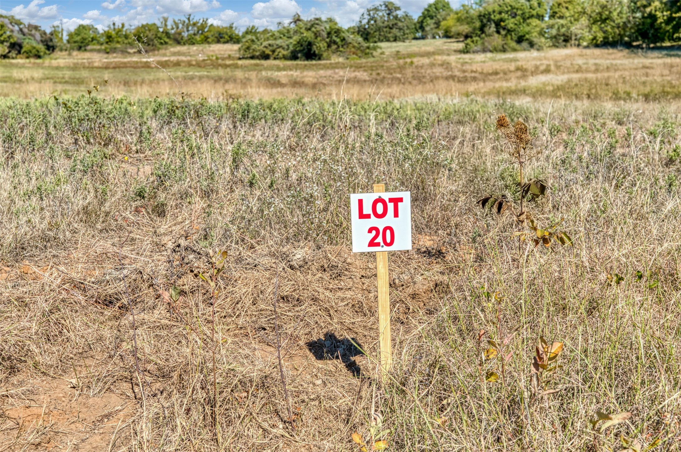 Tbd Wilson Road Perrin TX 76486