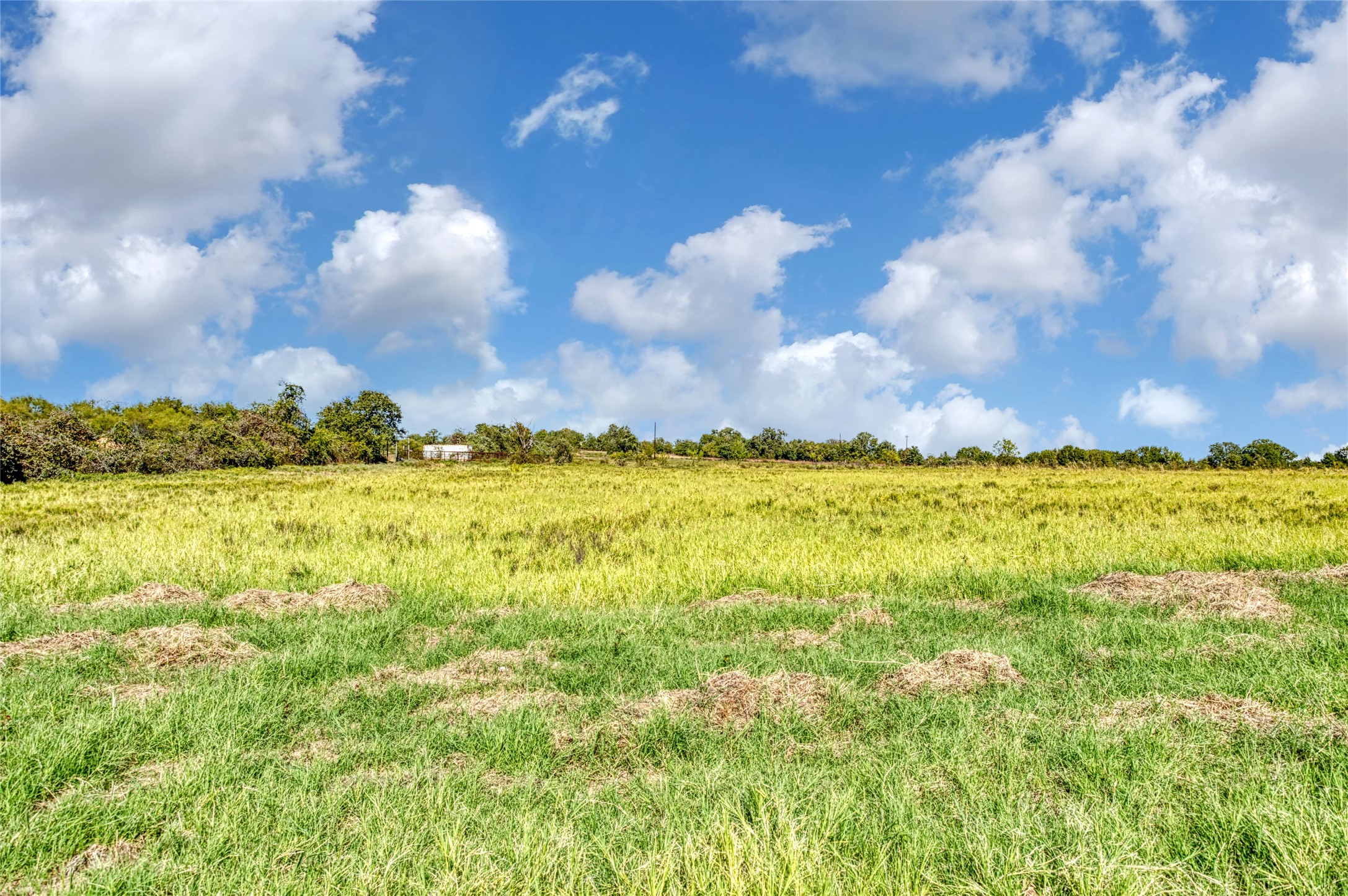 Tbd Wilson Road Perrin TX 76486
