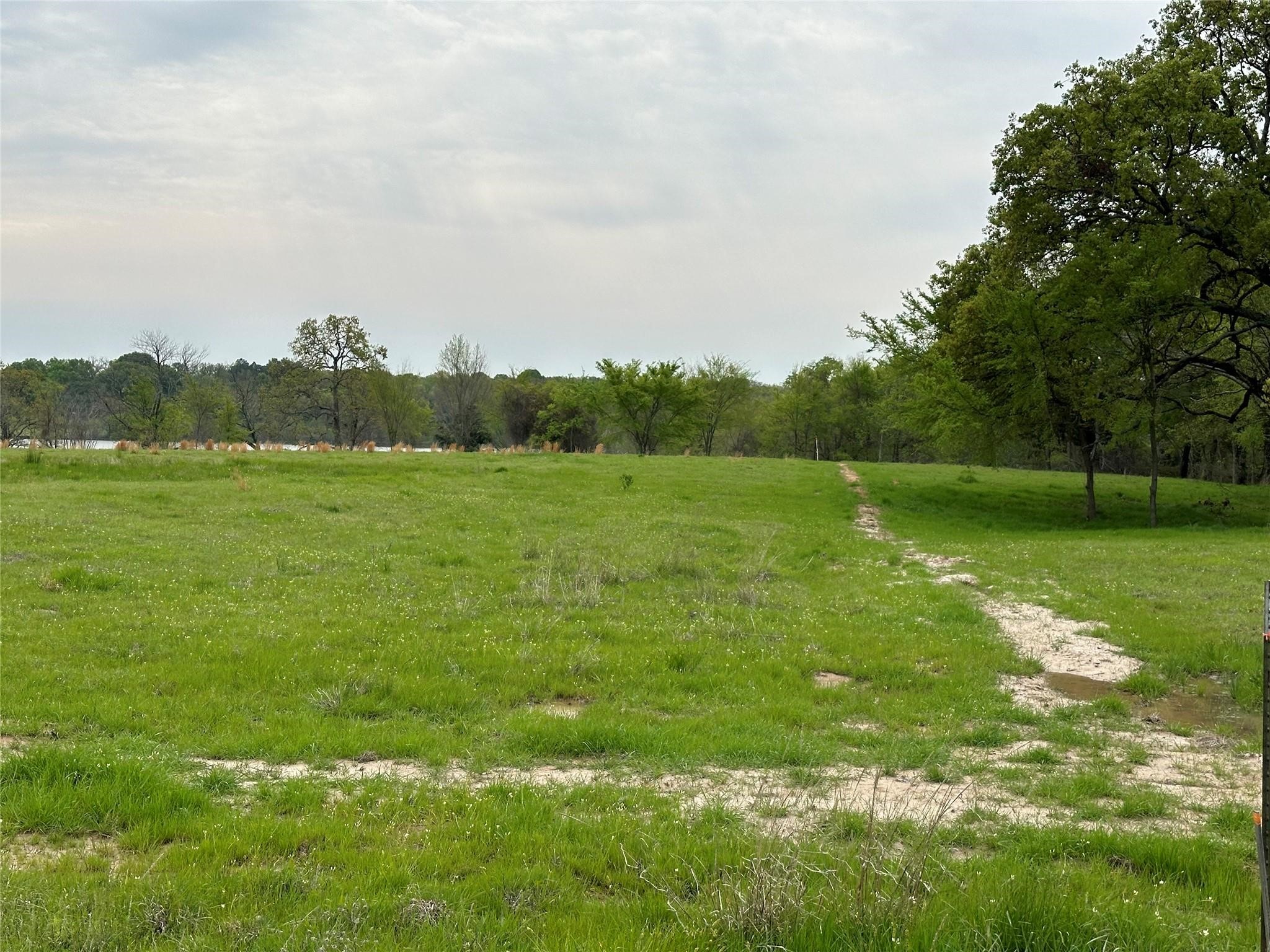 Tbd Lot 7 Anglers Point Drive Emory TX 75440