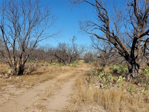 1052 County Road 304 Gouldbusk TX 76845