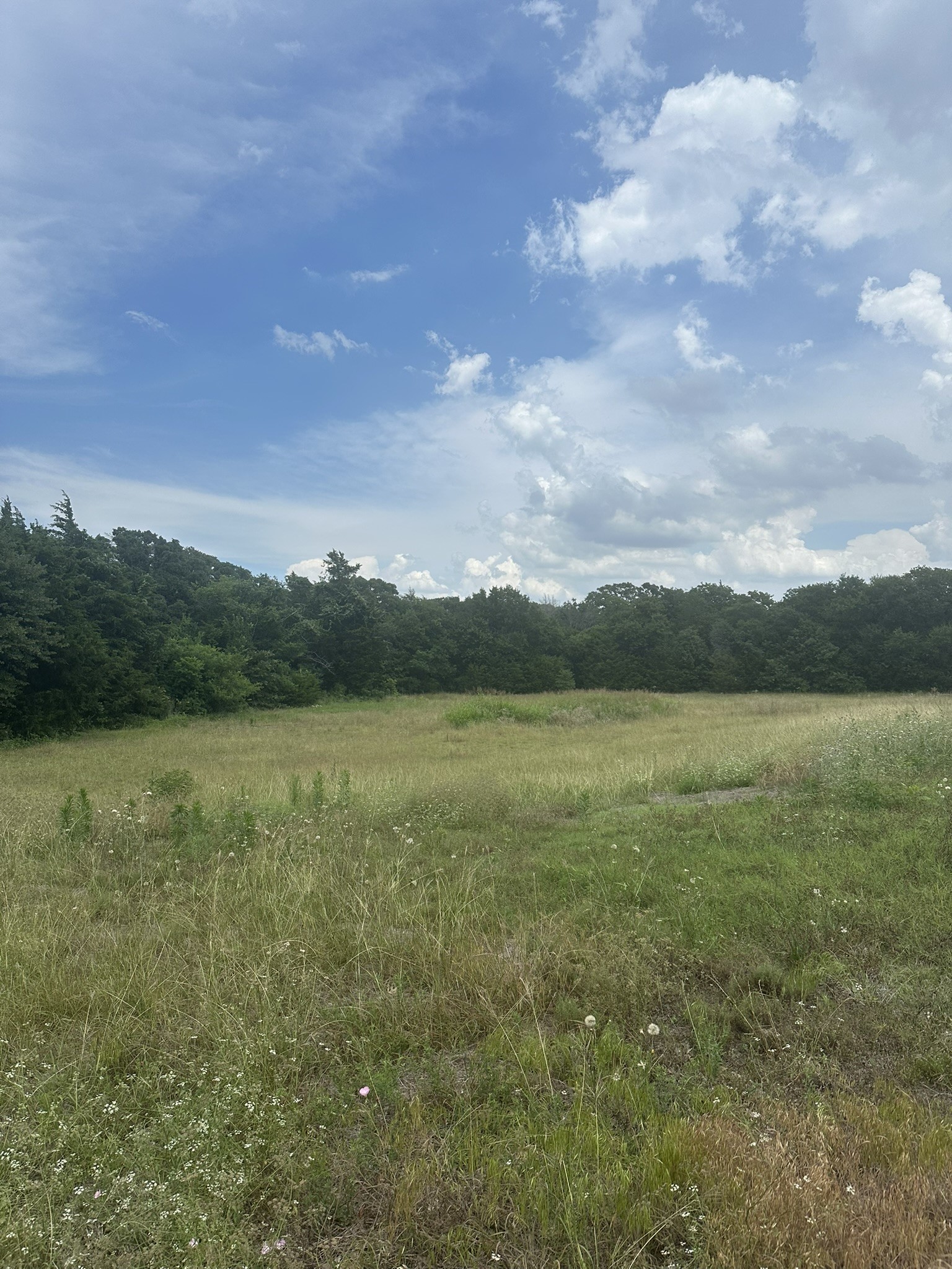 2413 Plantation Drive N Burleson TX 76028