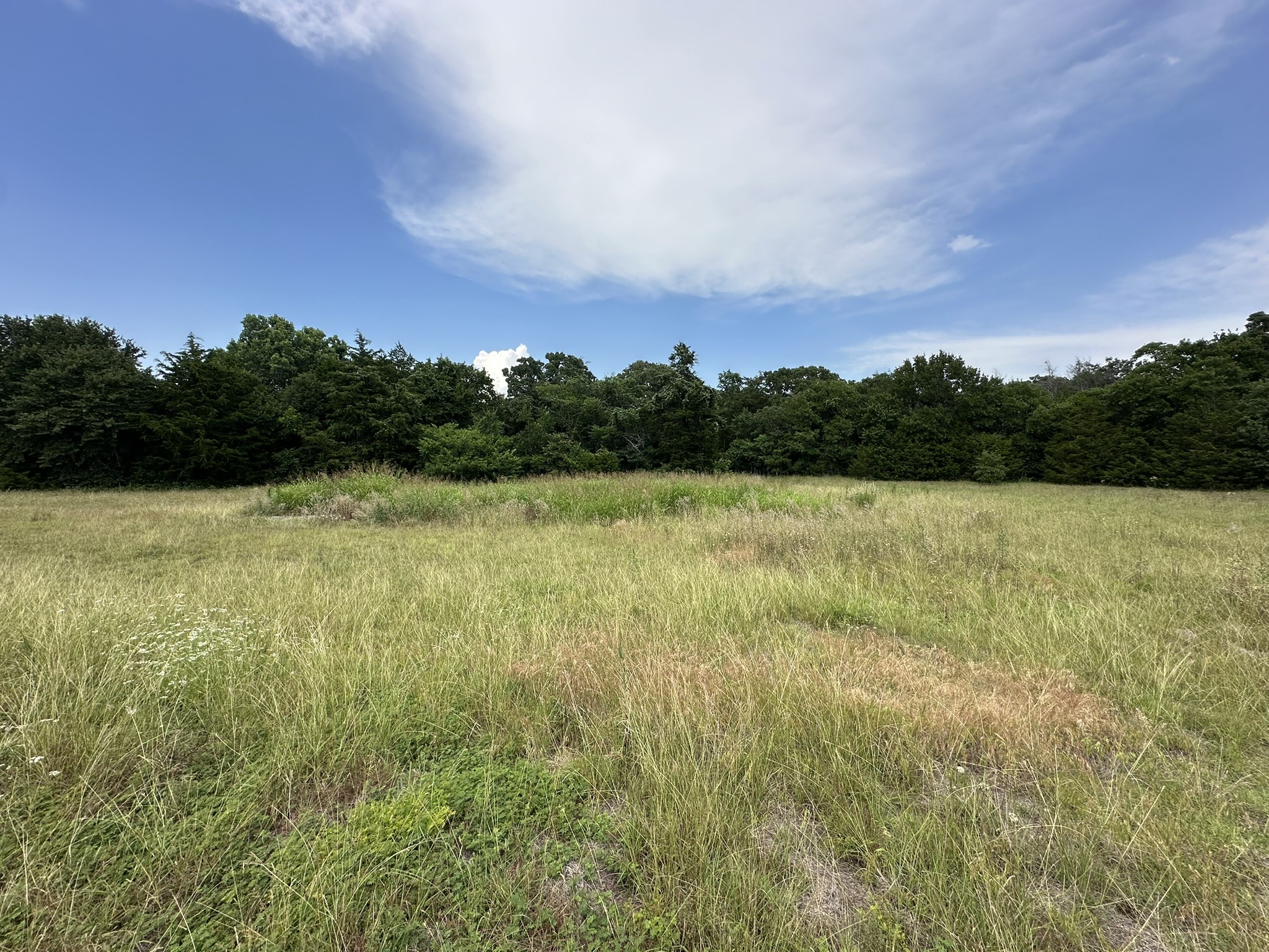 2413 Plantation Drive N Burleson TX 76028