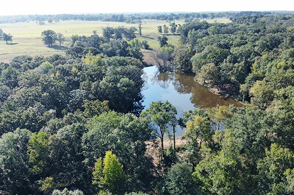 8868 Fm 115 Scroggins TX 75480