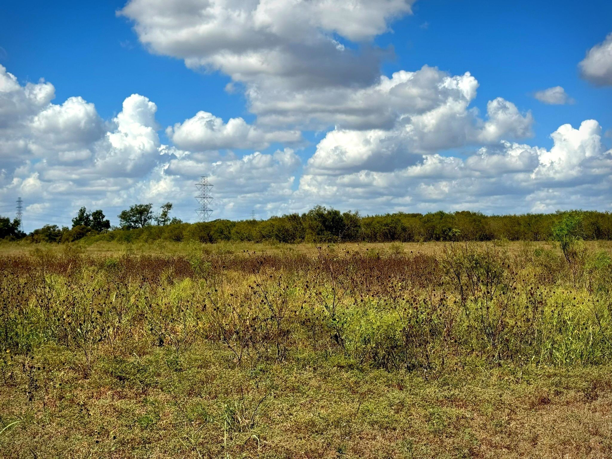 4194 SE River Road Martindale TX 78655