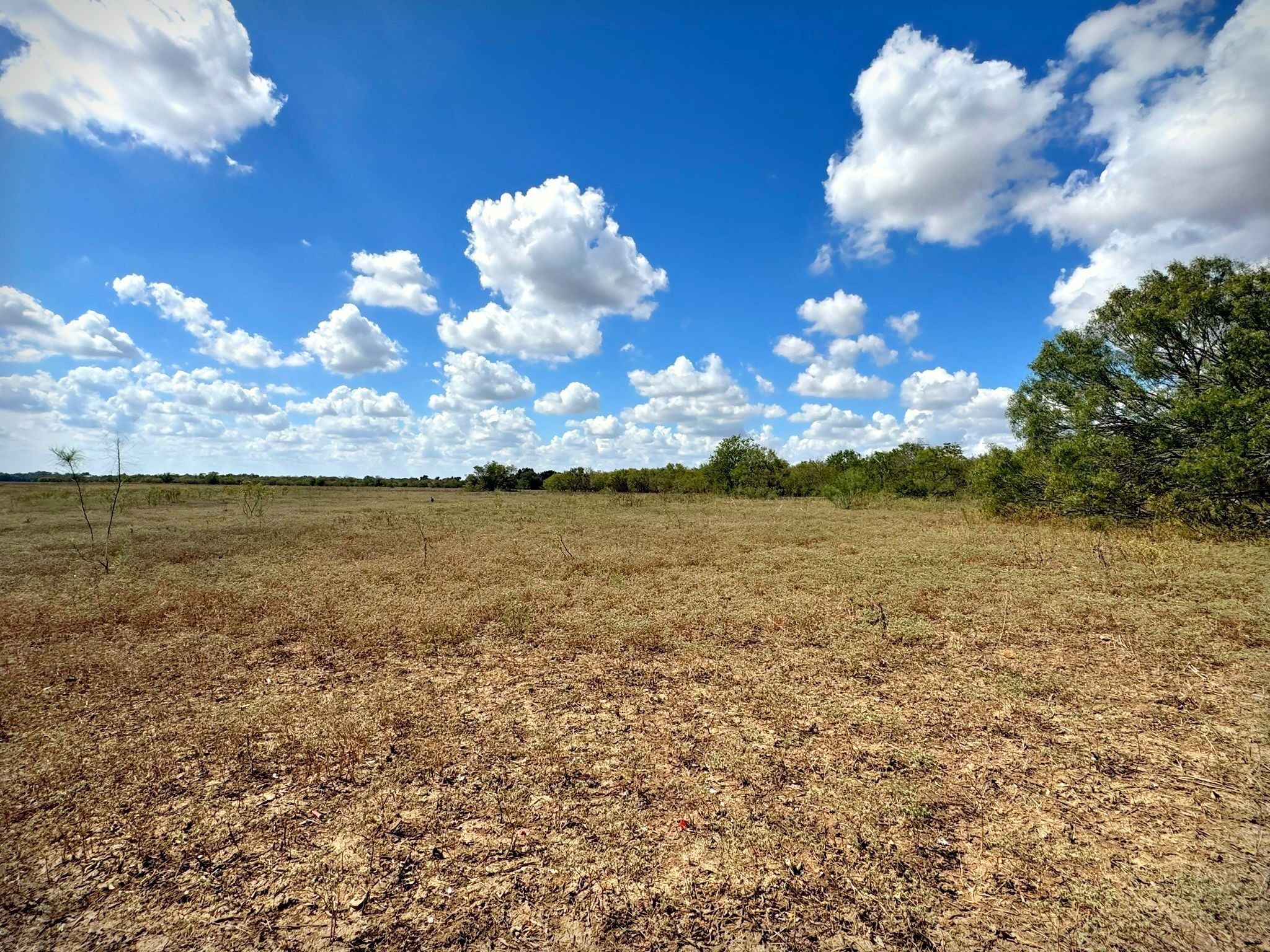 4194 SE River Road Martindale TX 78655