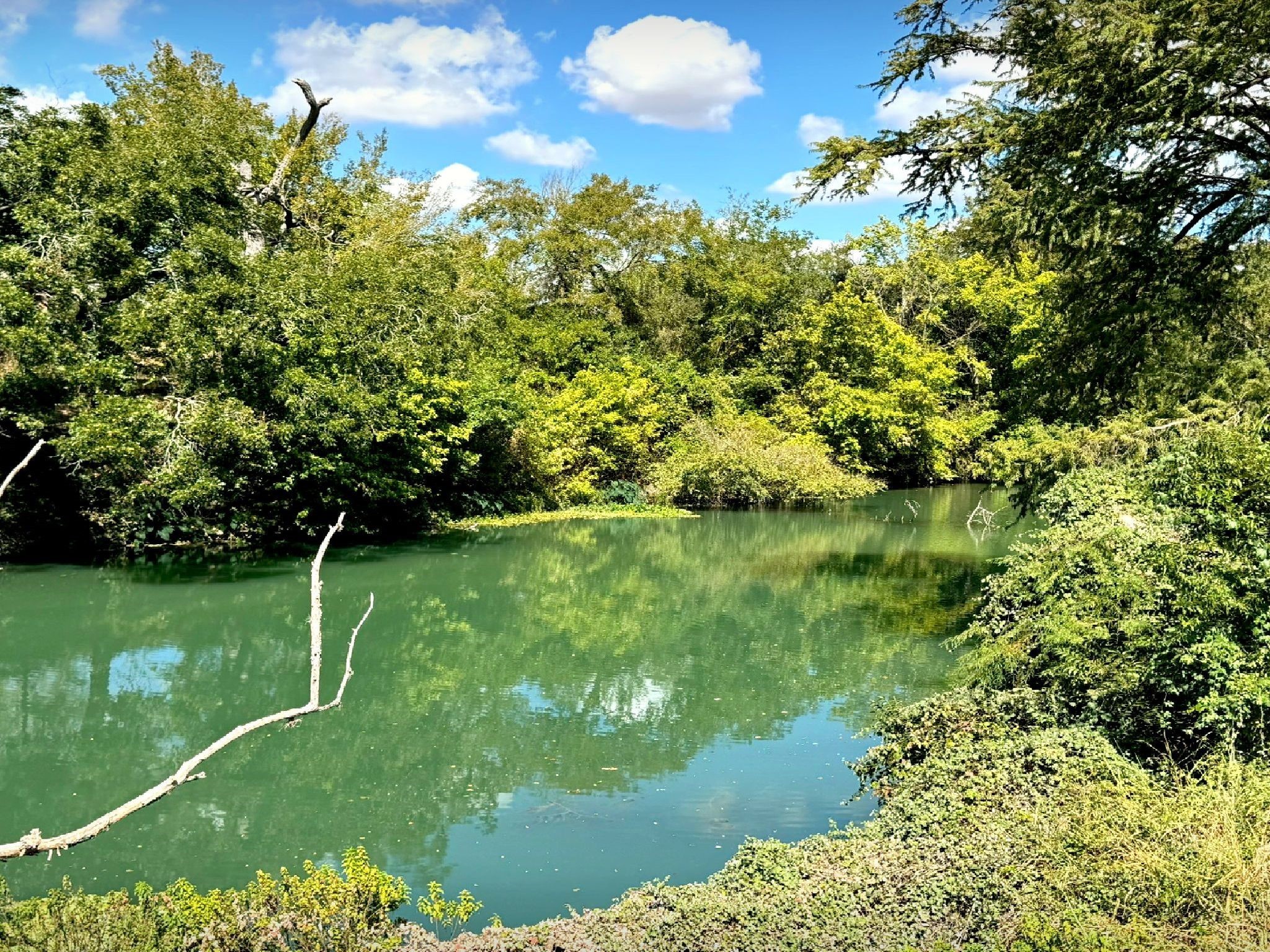 4194 SE River Road Martindale TX 78655