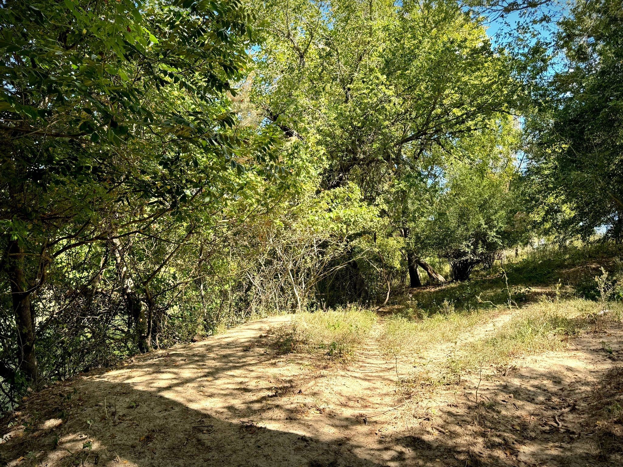 4194 SE River Road Martindale TX 78655
