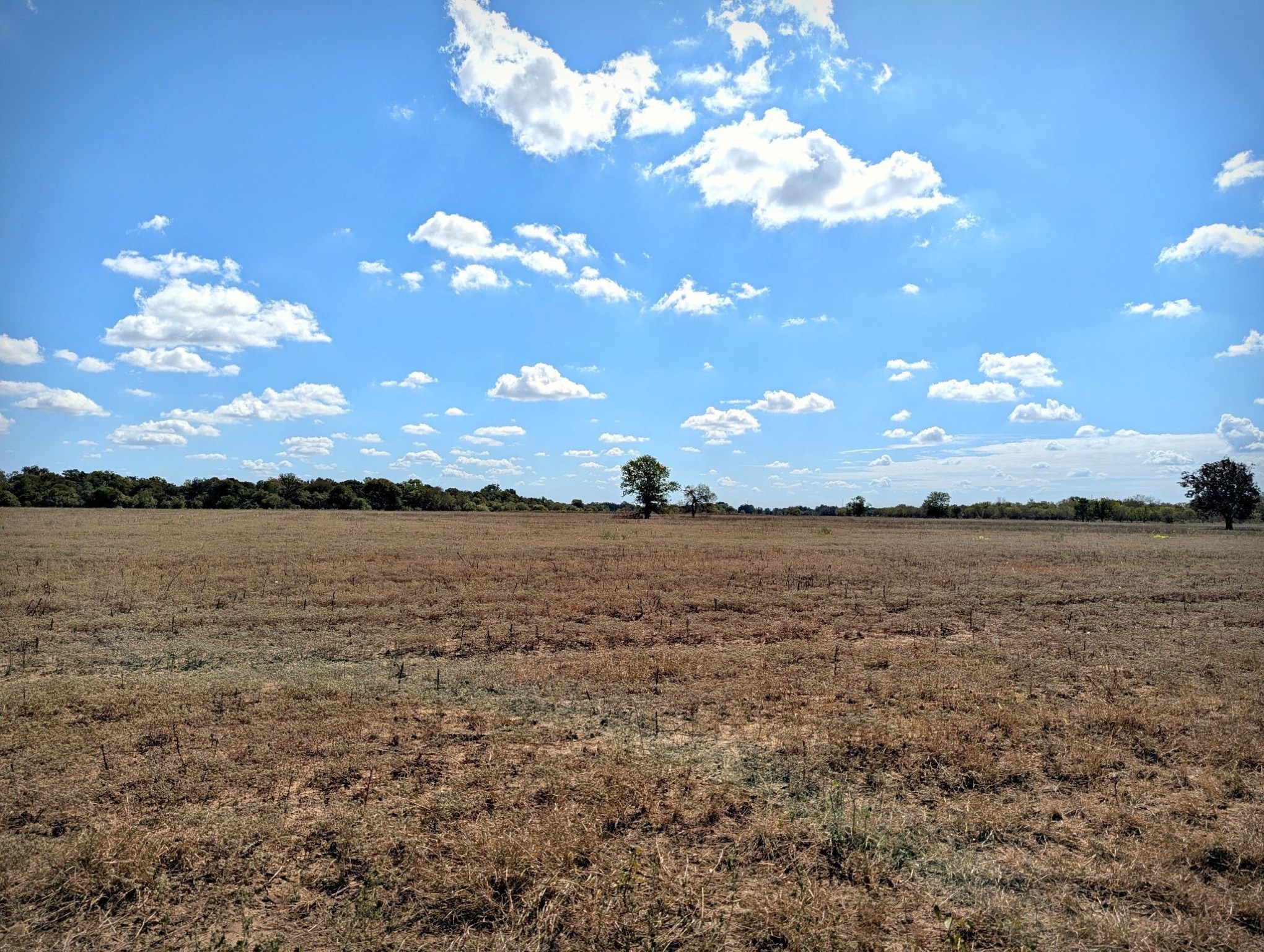 4194 SE River Road Martindale TX 78655