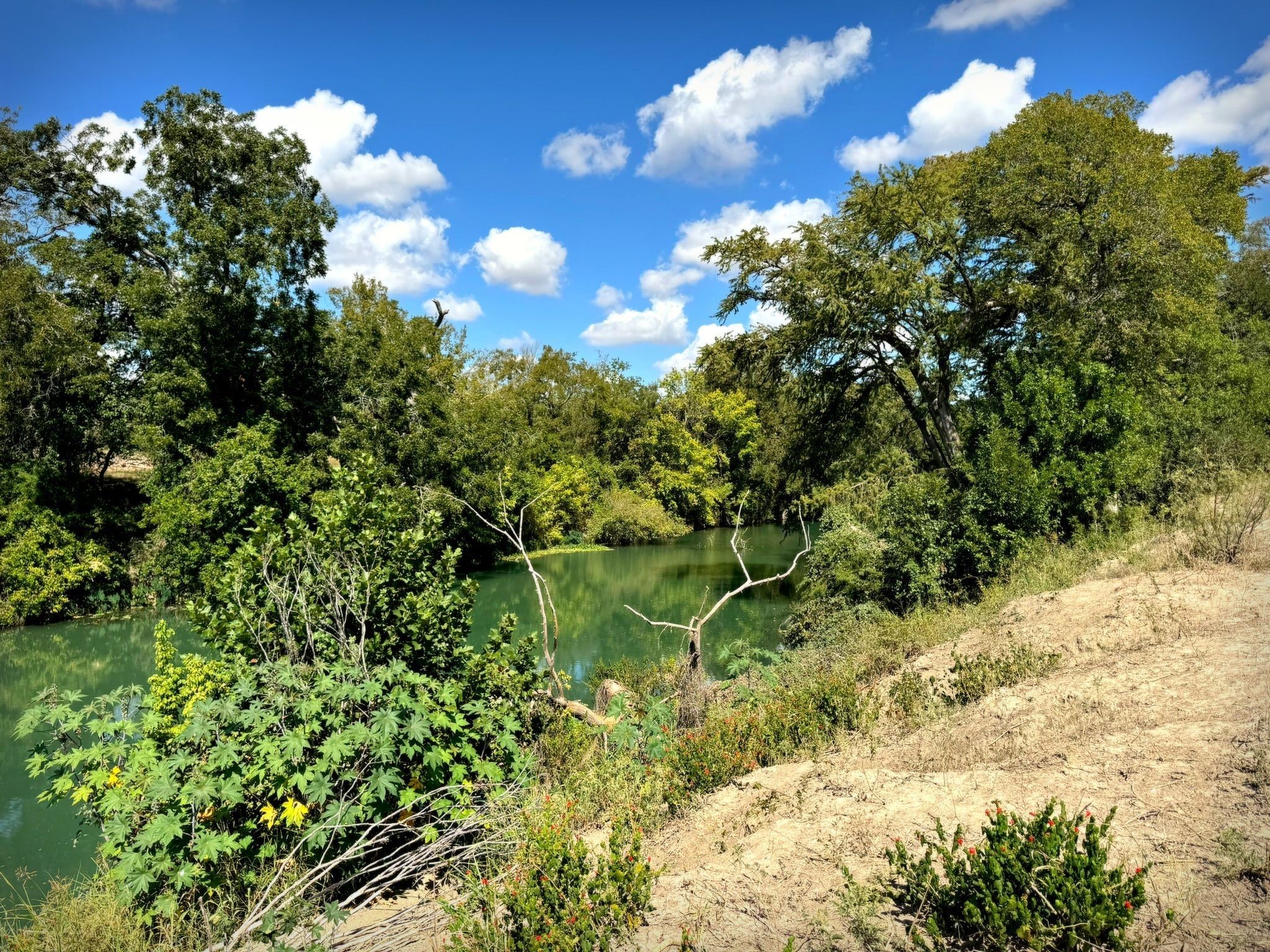4194 SE River Road Martindale TX 78655