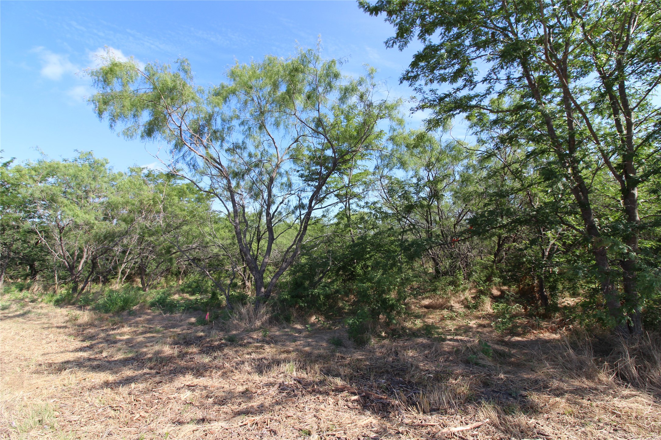 Tbd Lot 7 Fm 2860 Kaufman TX 75142