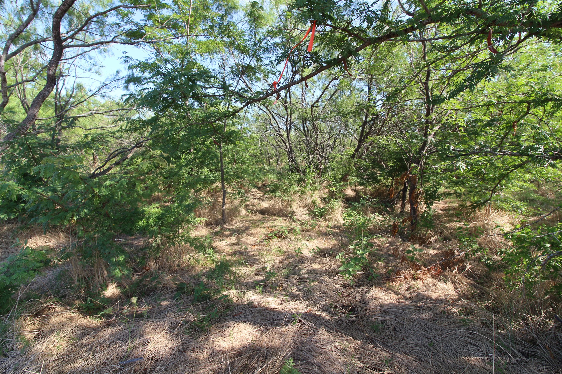 Tbd Lot 7 Fm 2860 Kaufman TX 75142