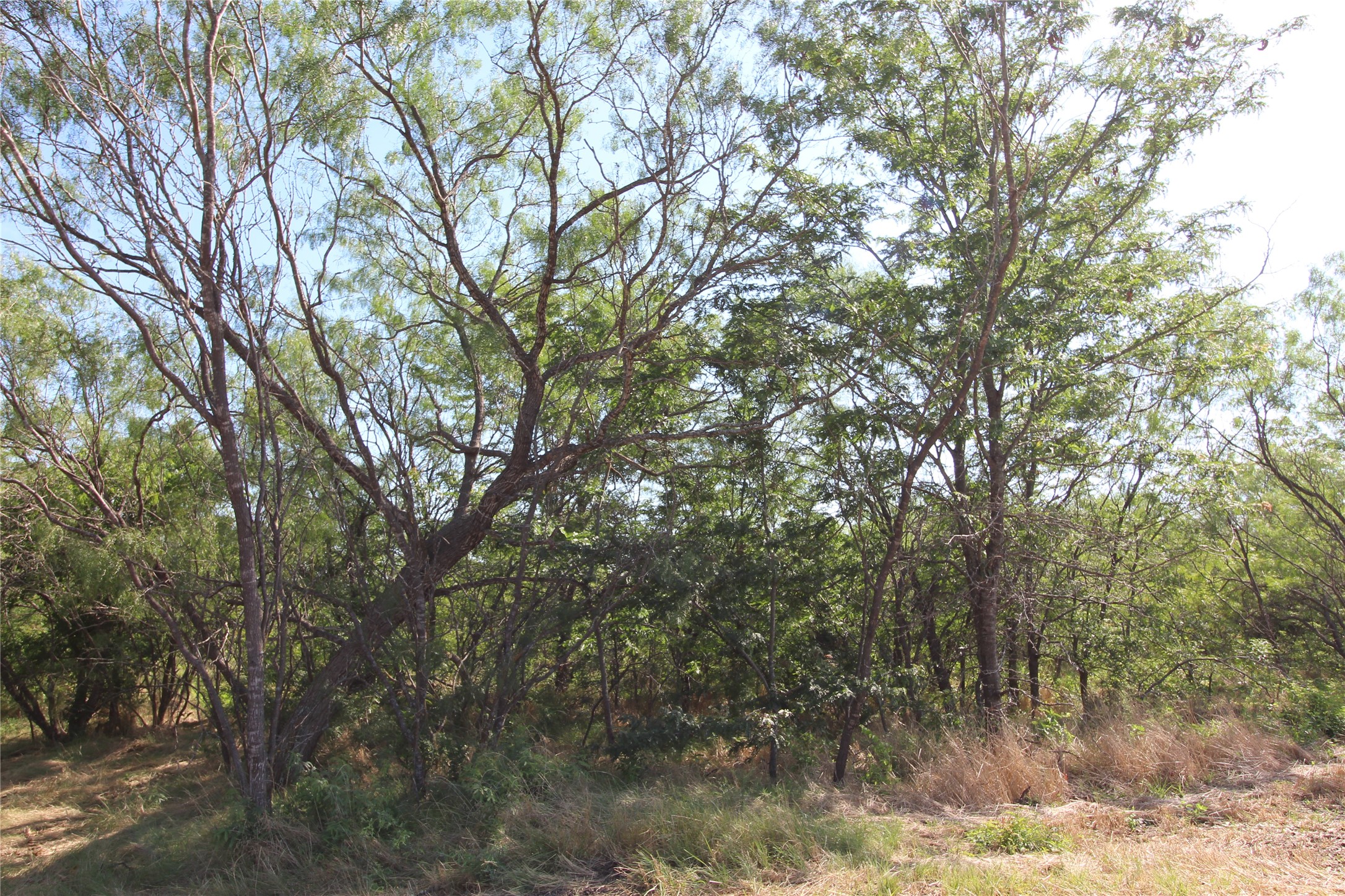 Tbd Lot 7 Fm 2860 Kaufman TX 75142