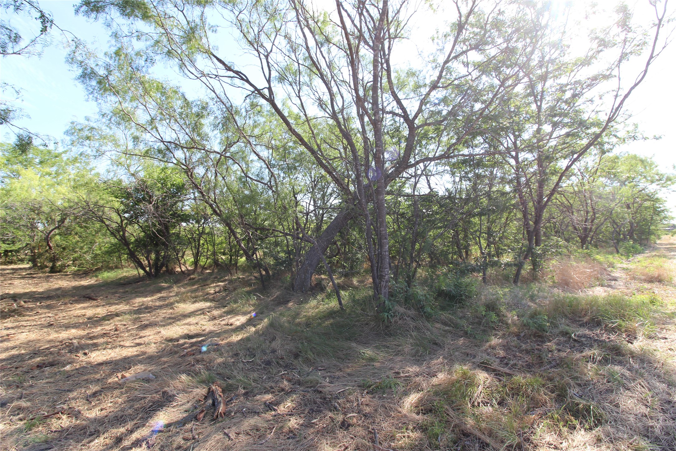Tbd Lot 7 Fm 2860 Kaufman TX 75142