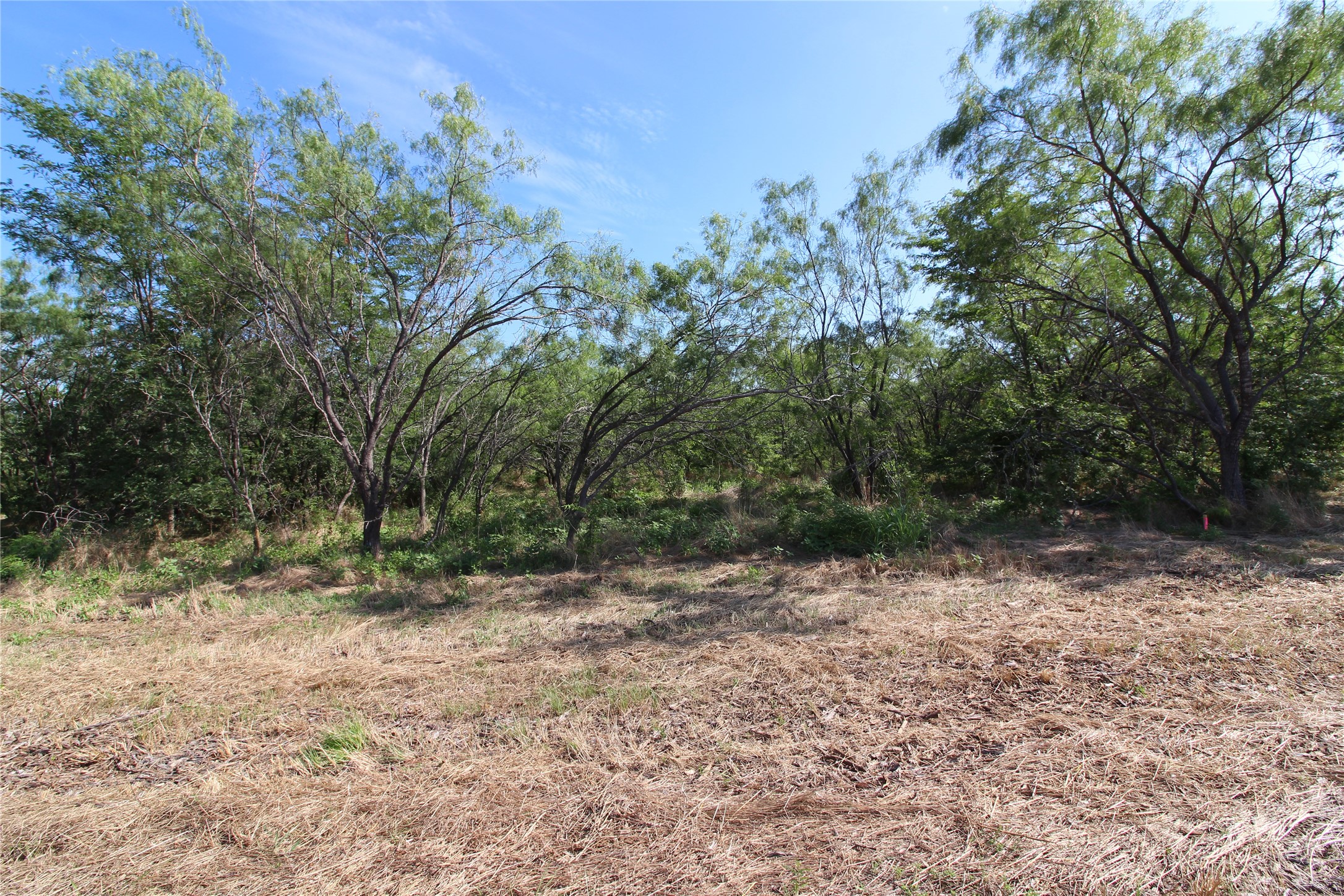 Tbd Lot 7 Fm 2860 Kaufman TX 75142
