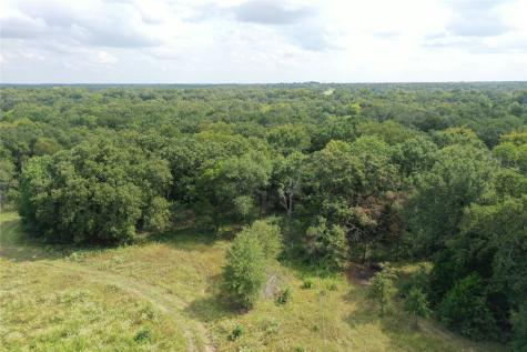 TBD County Road 140 Streetman TX 75859