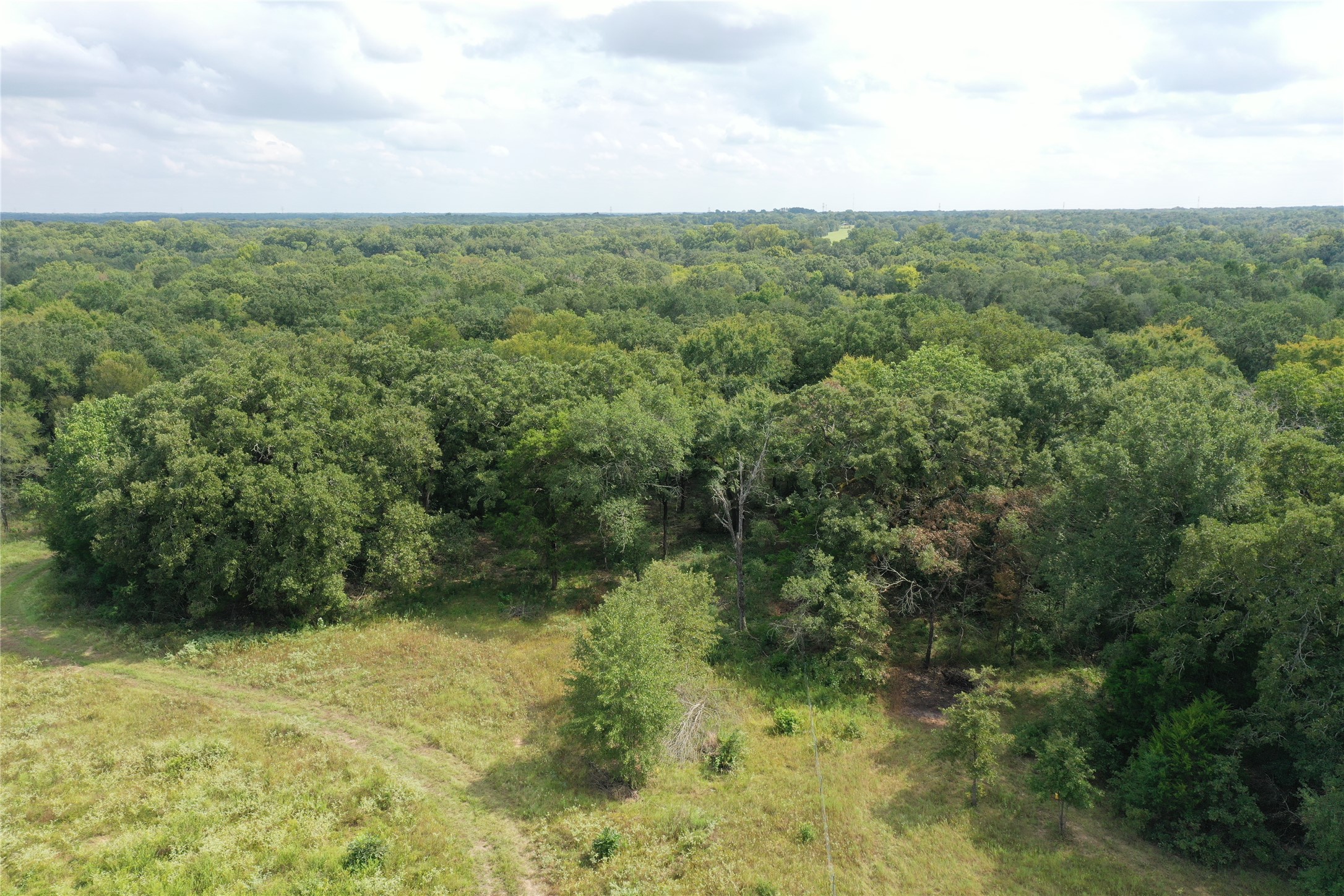 Tbd County Road 140 Streetman TX 75859