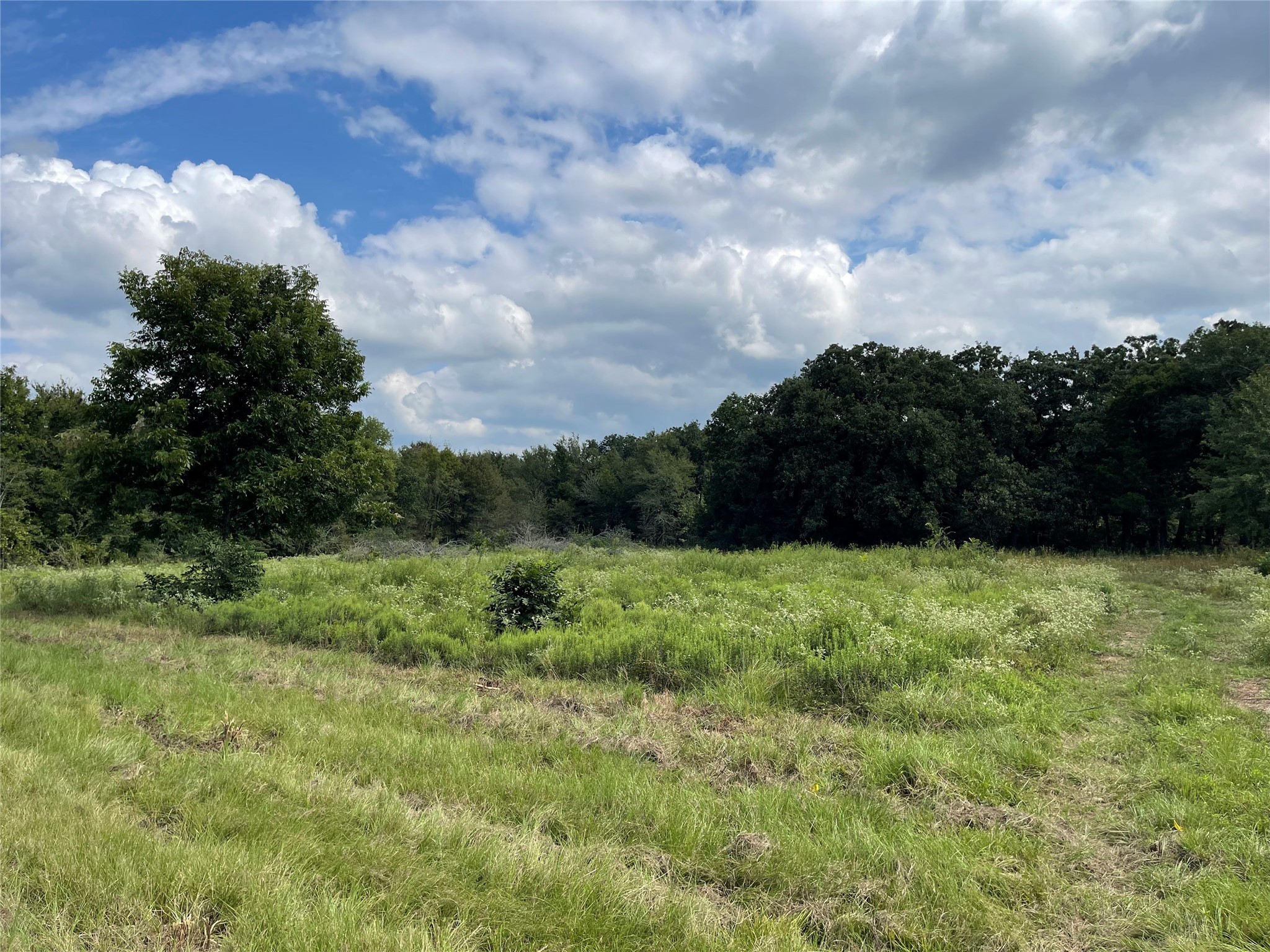 Tbd County Road 140 Streetman TX 75859